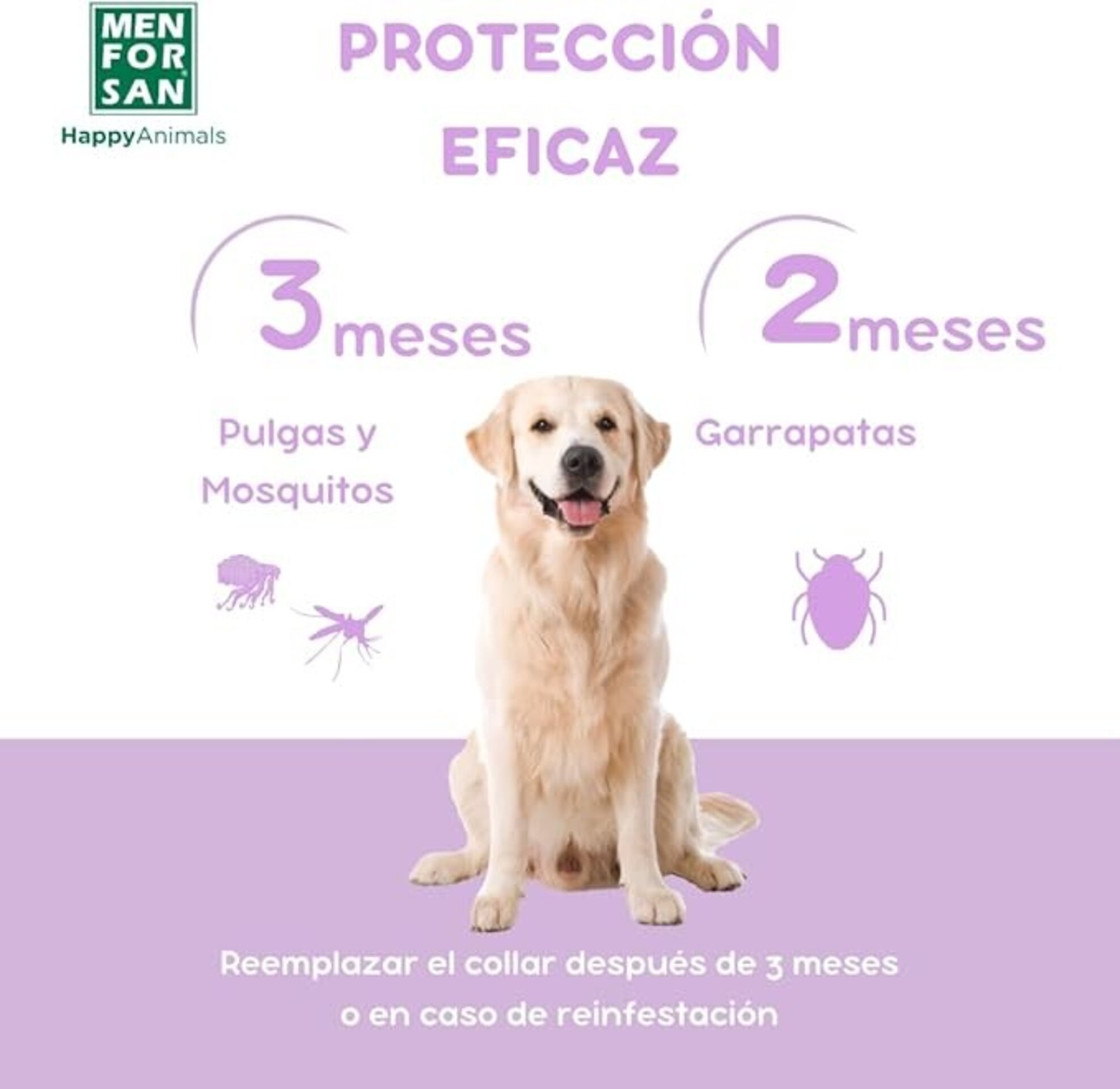 Collar Anti Insectos 3 Activos Perro - 9