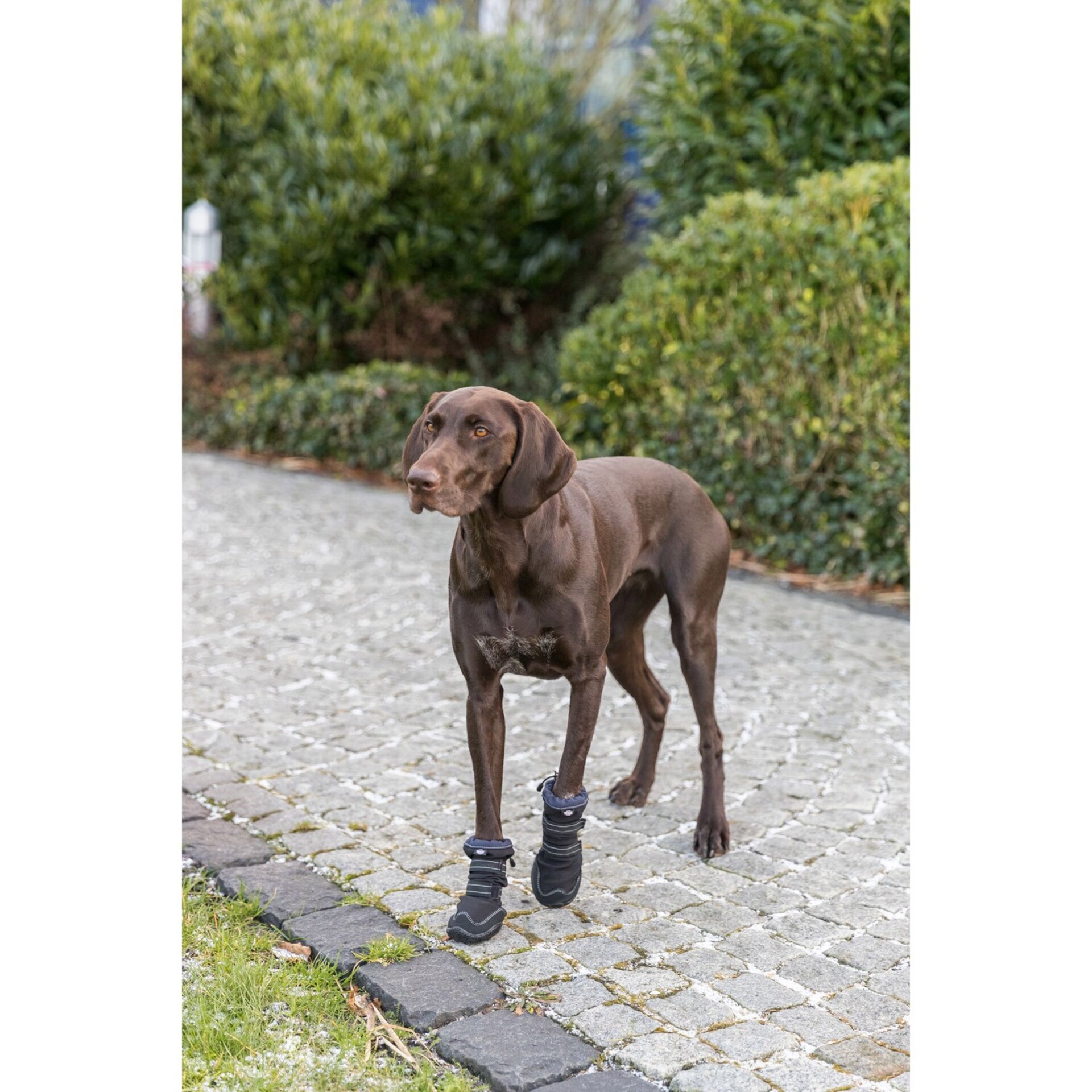 Andador De Protección De Patas Activo Largo - 3