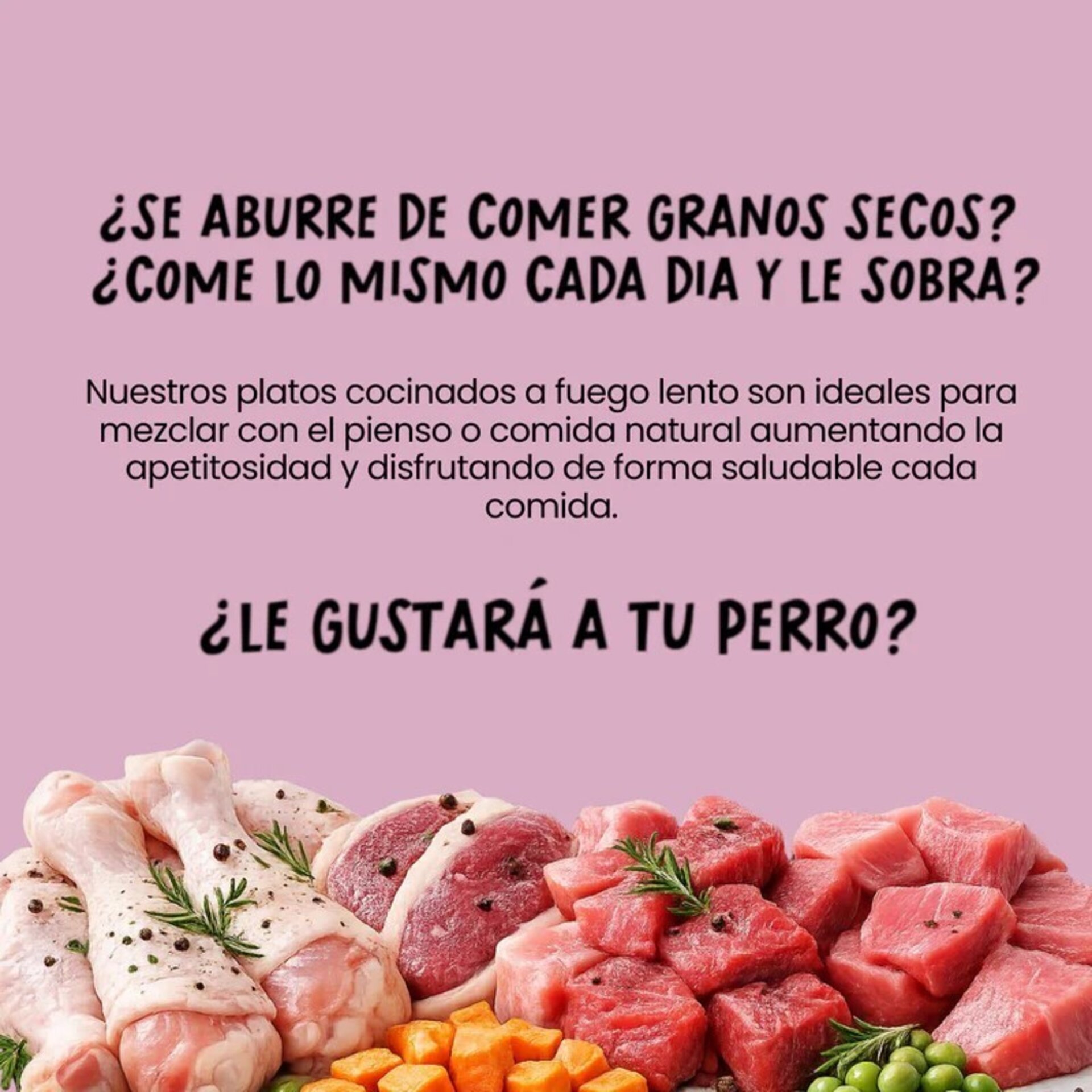Cocosi Lata Albóndigas Con Cerdo - 2