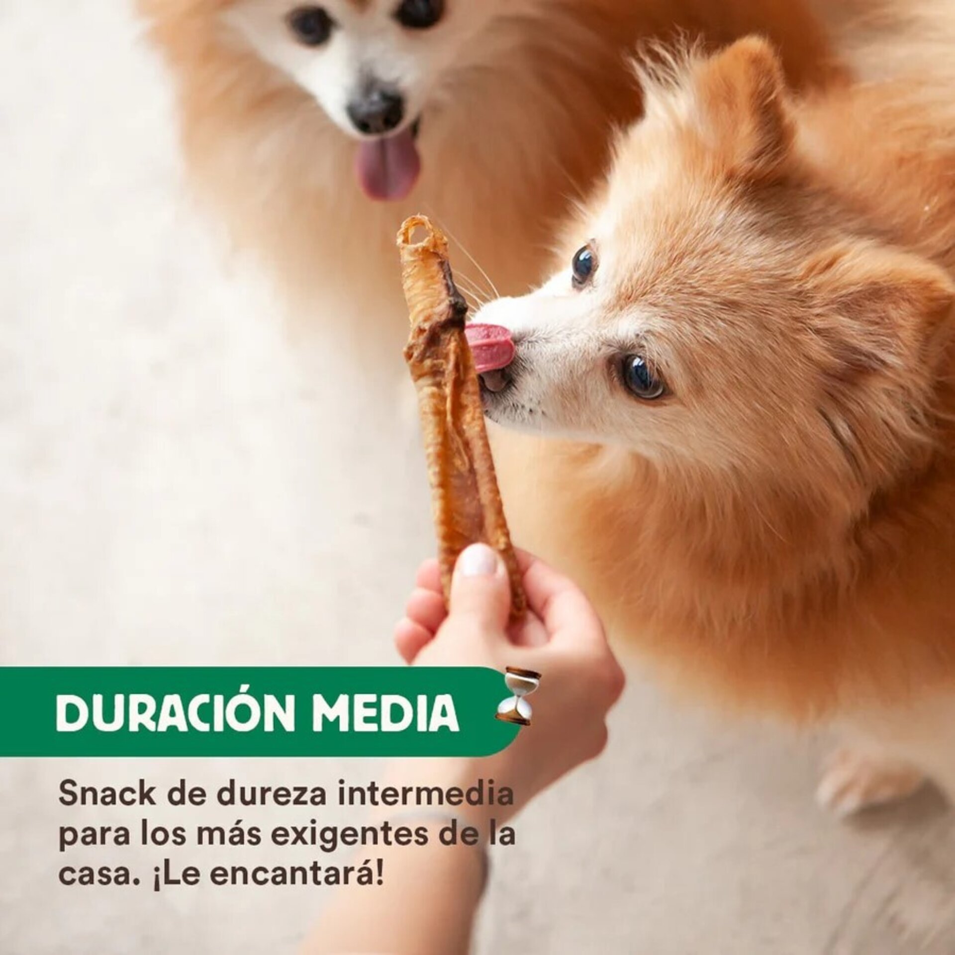 Wild Balance Tráqueas de Cordero - 3