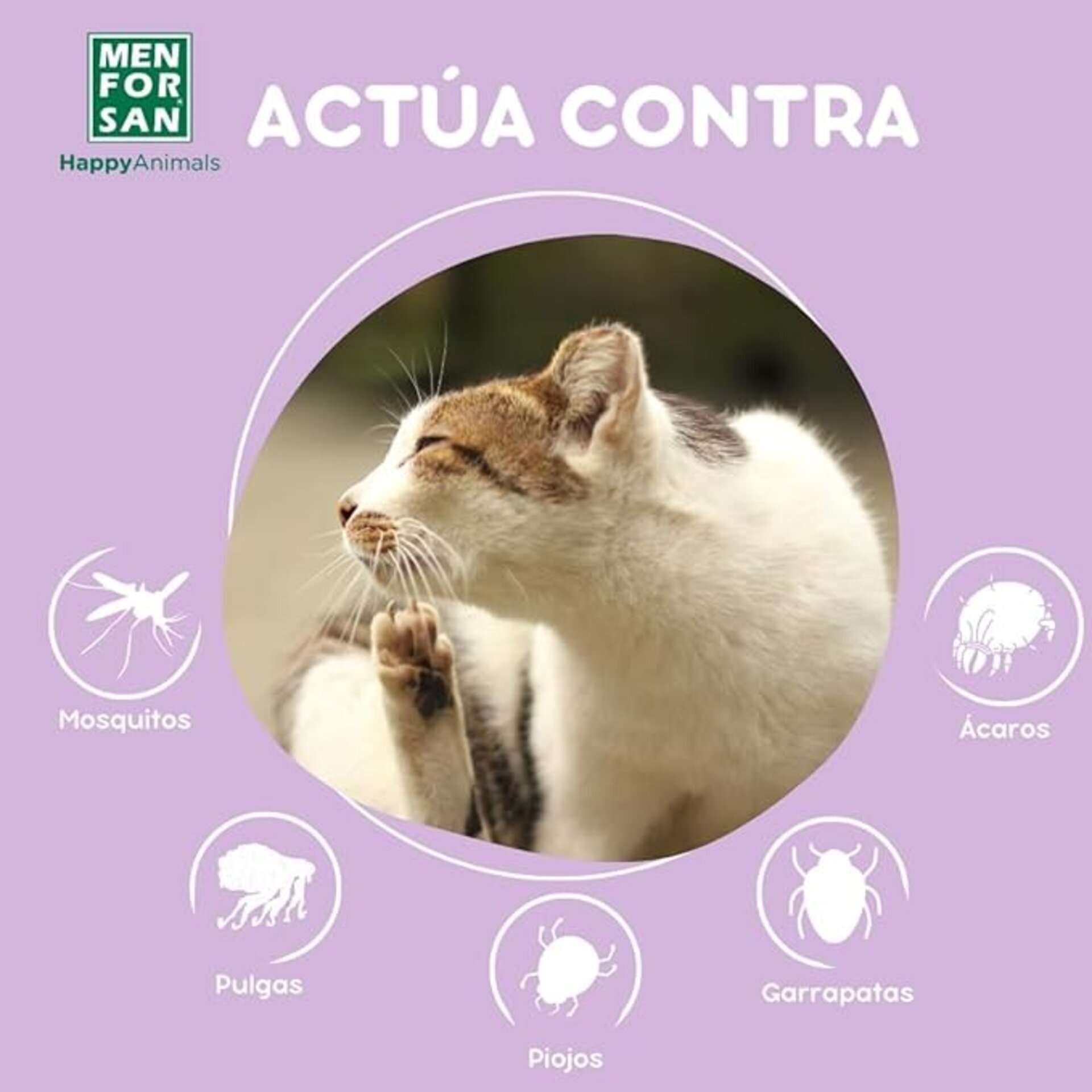 Spray Anti insectos Para Gatos Men For San - 4