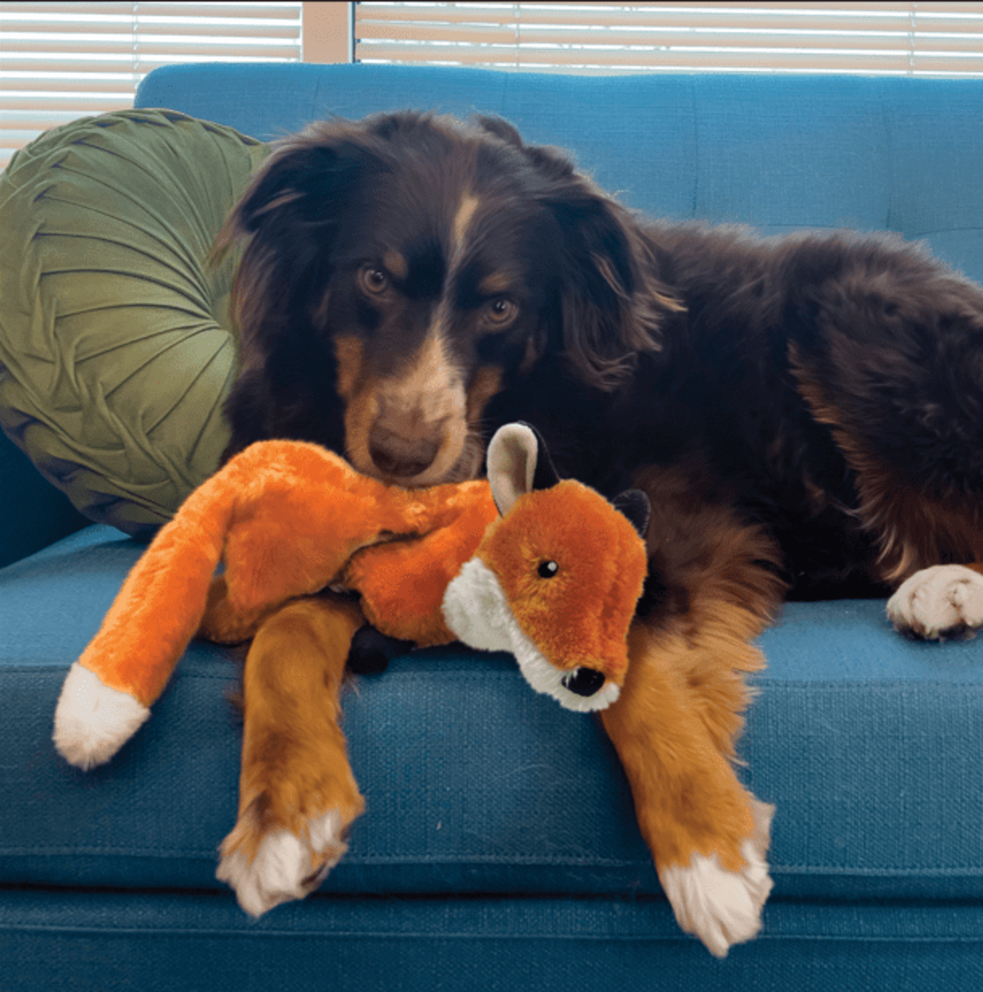 Kong Wild Low Stuff Fox - 1