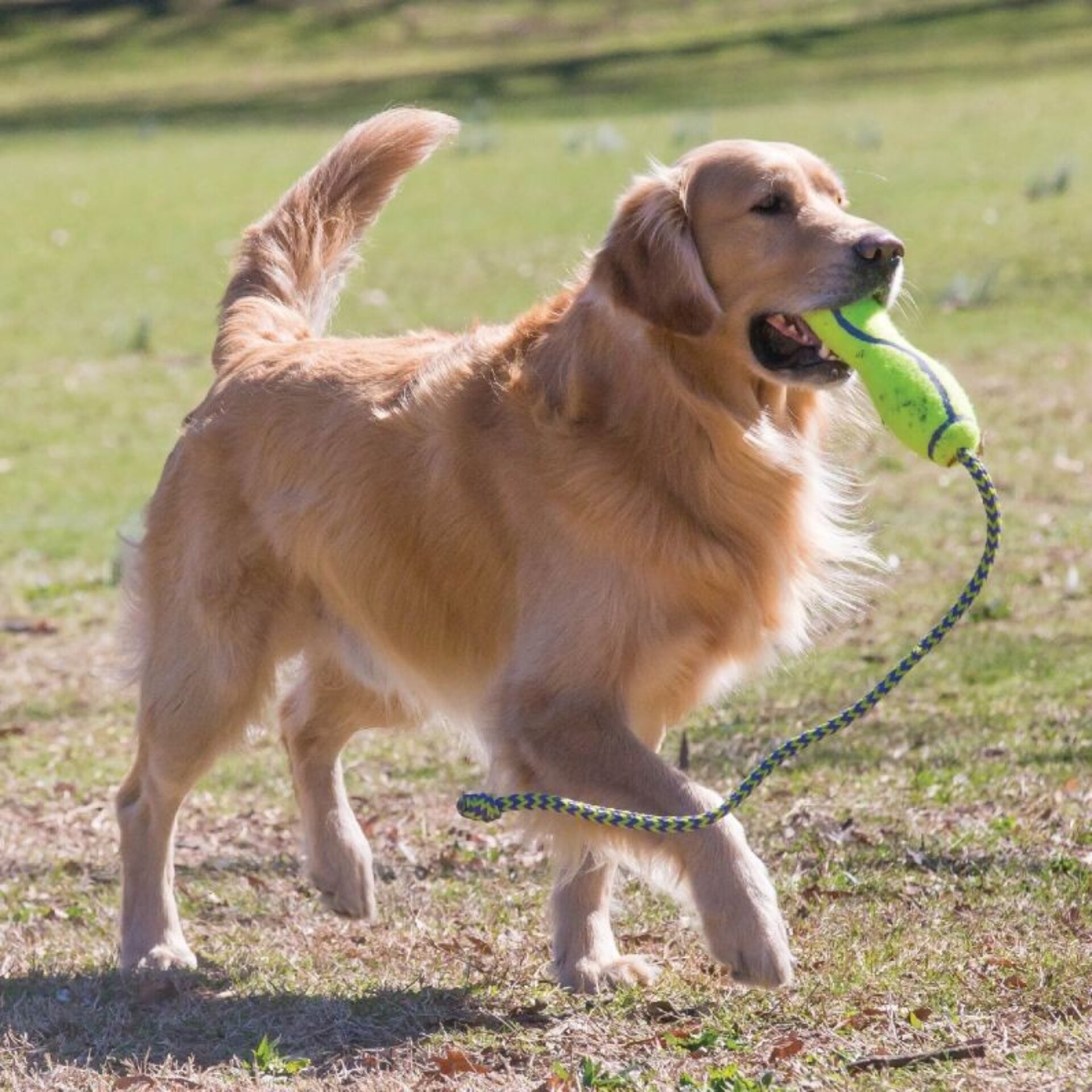 Airkong Stick Squeaker Con Cuerda - 1