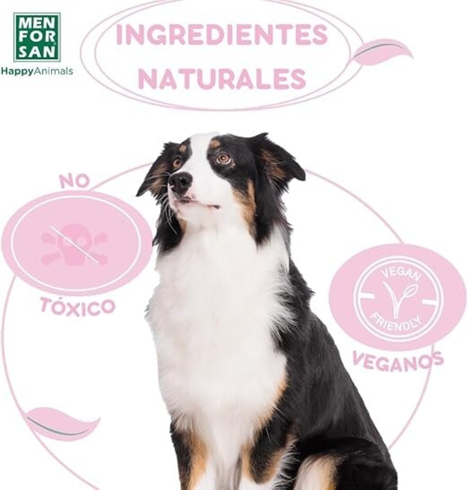 Antiorines Perros Y Gatos Men For San - 3