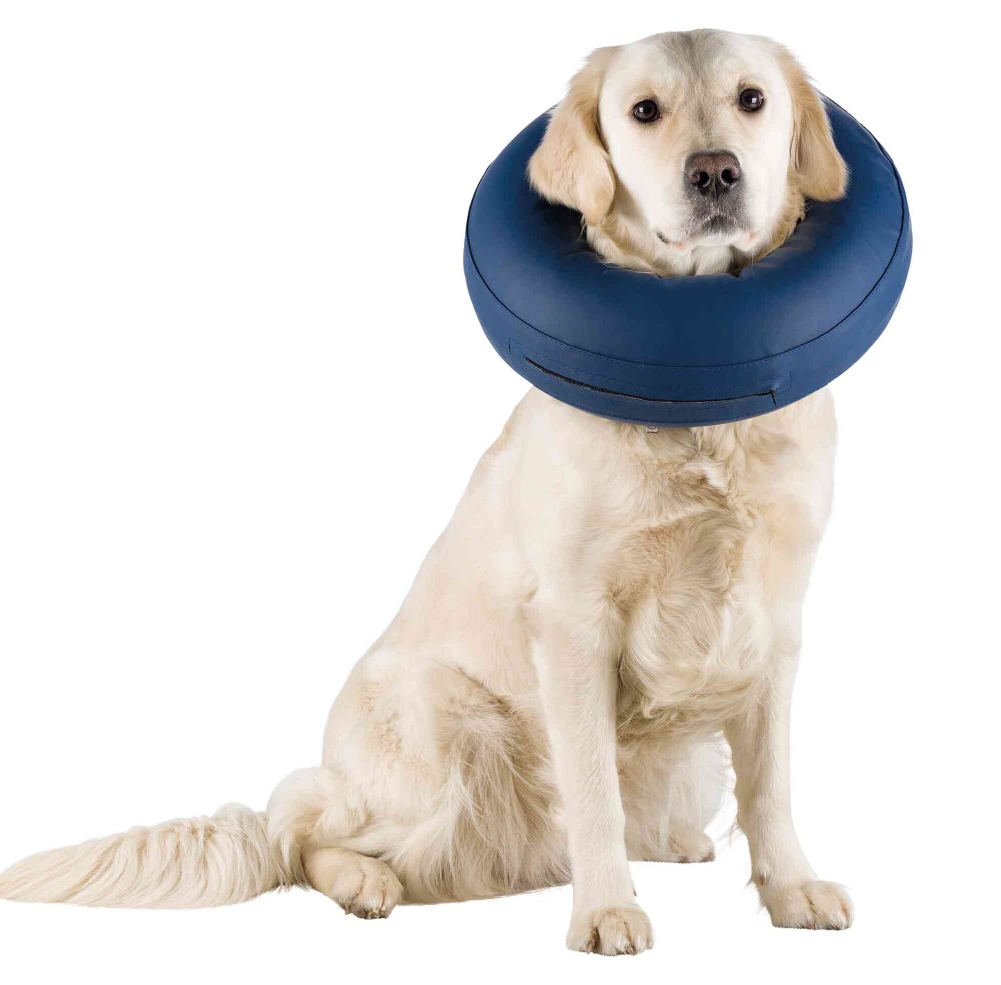 Collar Isabelino Inflable - 4