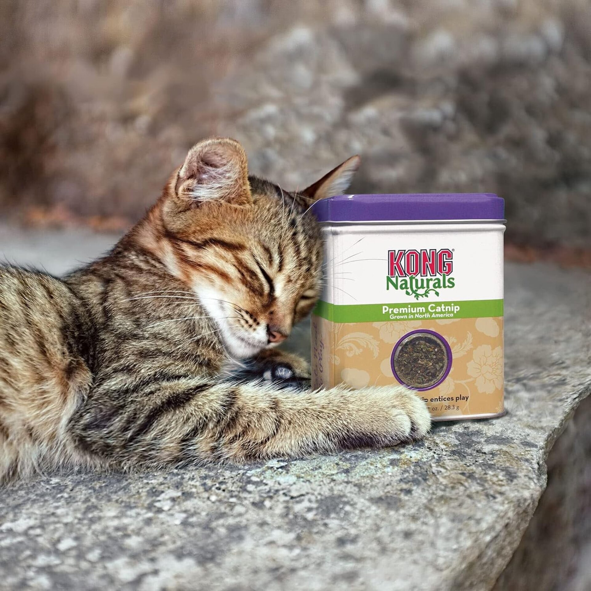 Catnip Premium Kong Para Juguetes - 3