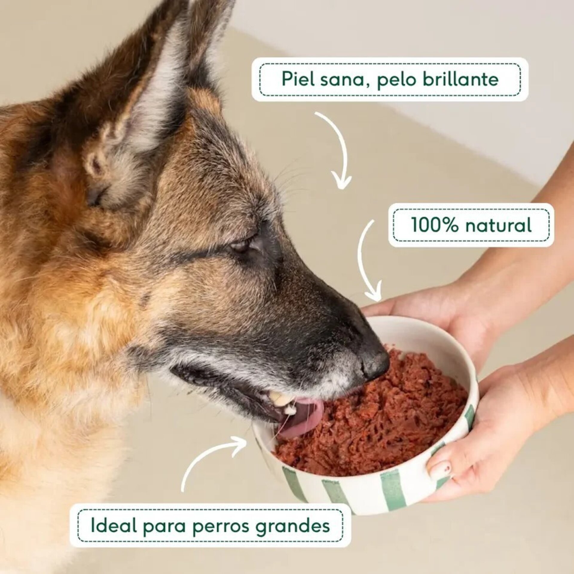 Wild Balance Menú BARF GRANDE De Salmón Con Verduras - 5