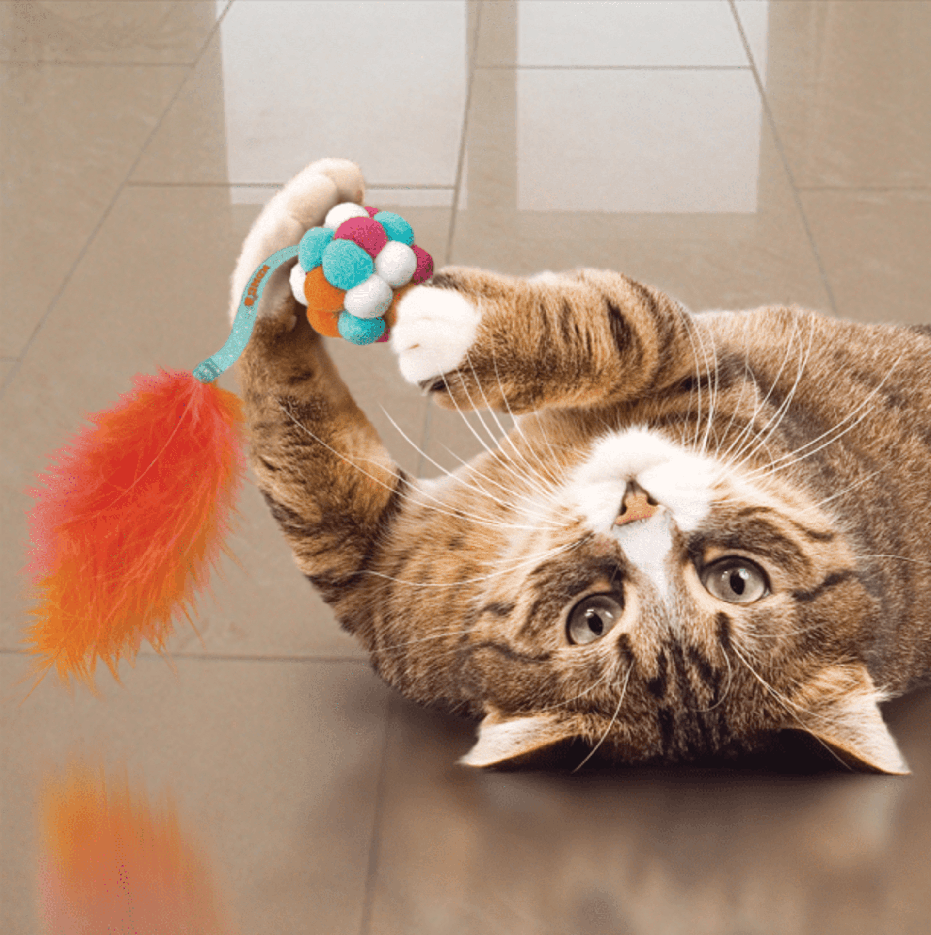 Pelotas Kong Cat Active Bubble Assorted - 1