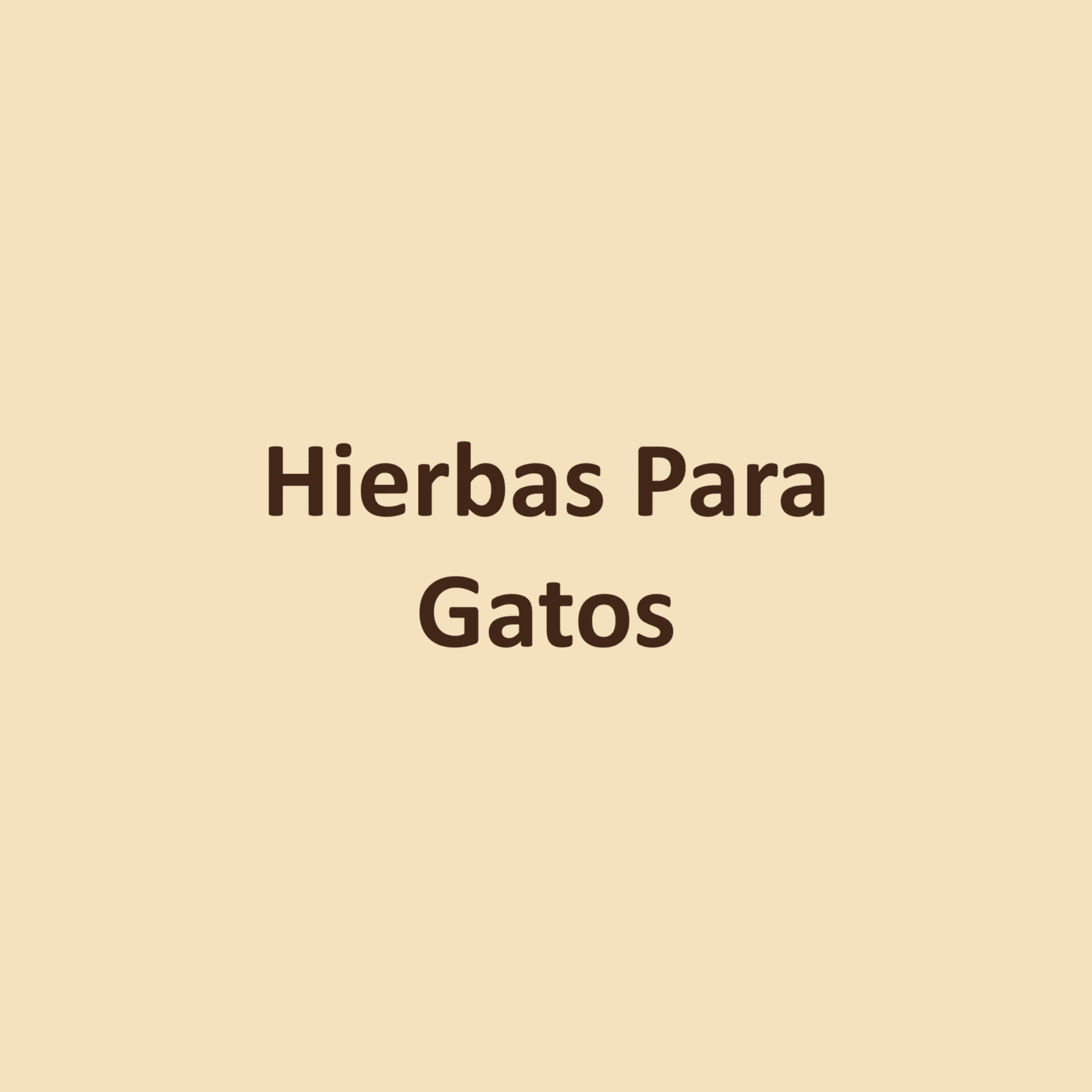 Hierbas Para Gatos