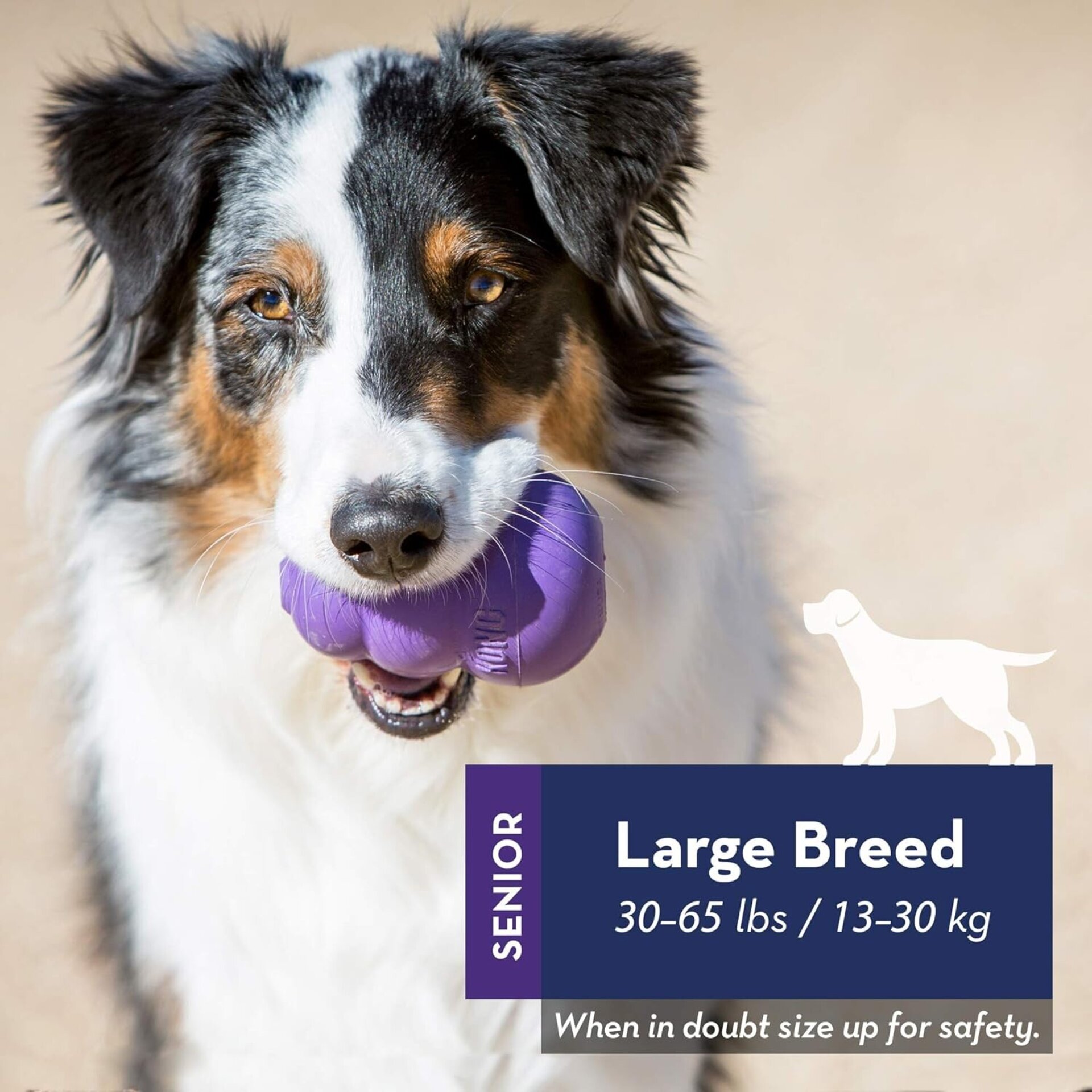 Kong Morado Especial Senior - 5