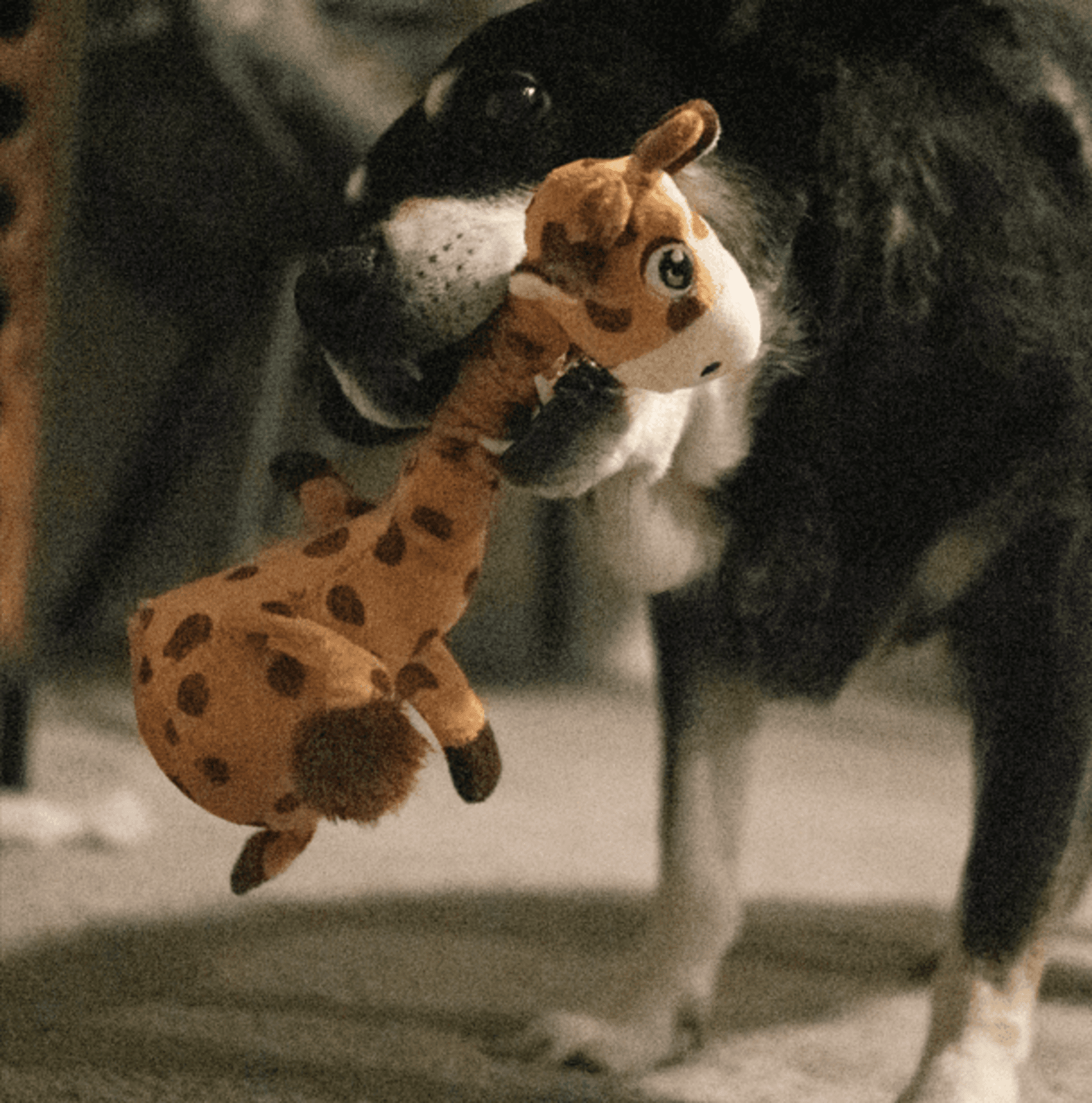 Peluche Kong Shakers Bobz Giraffe - 1