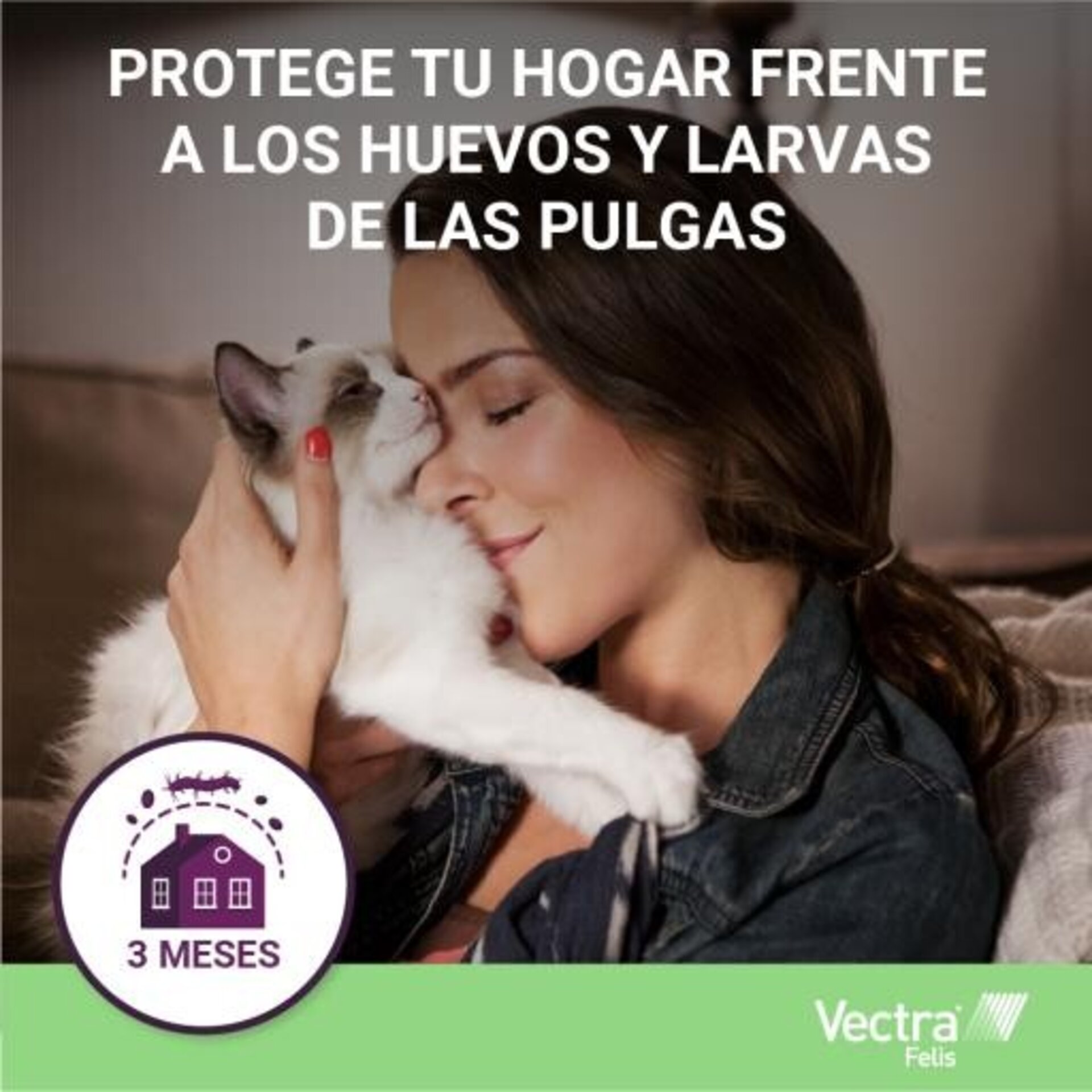 Vectra Felis Solución Spot-On Para Gatos - 6