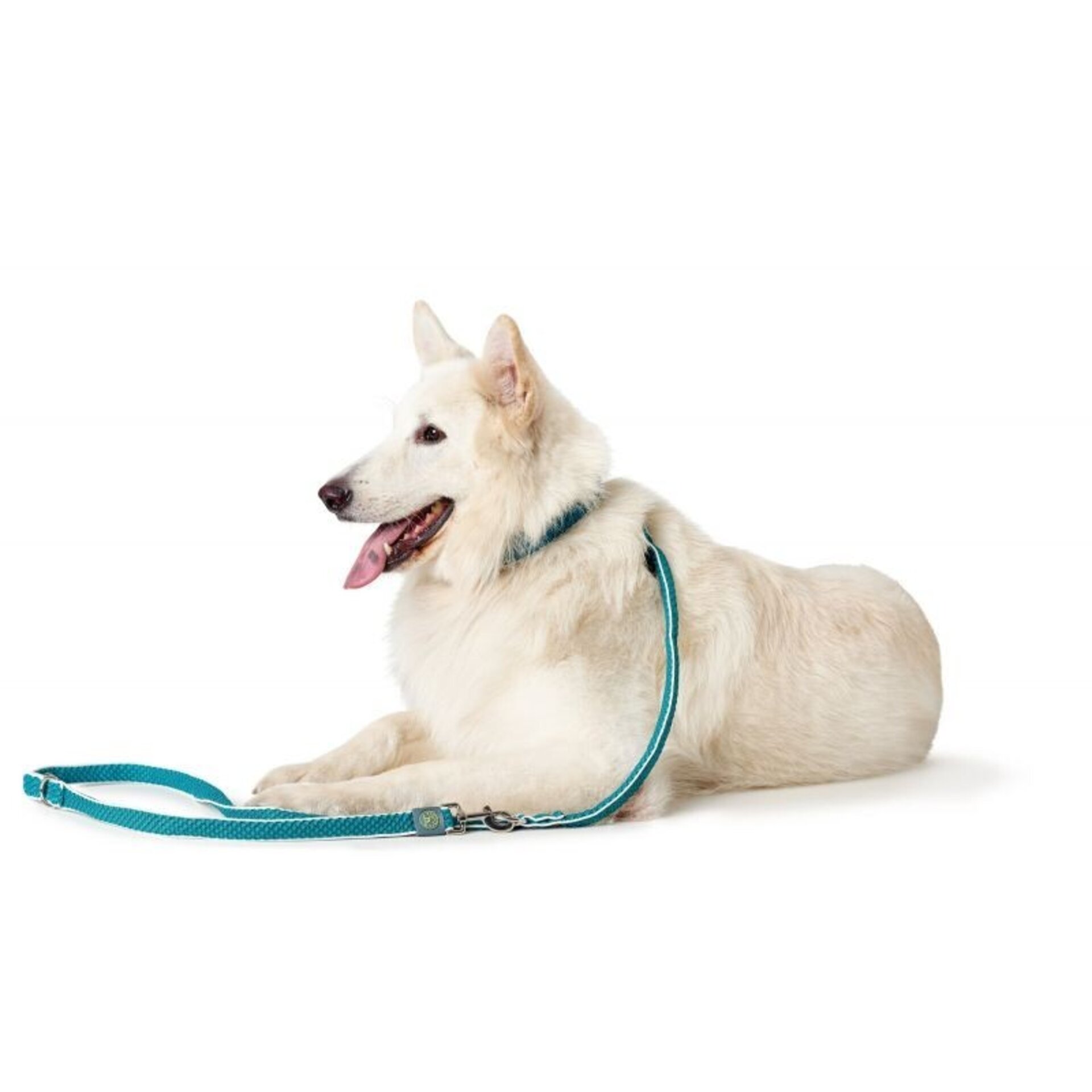 Correas Ajustables Hilo Hunter - 6
