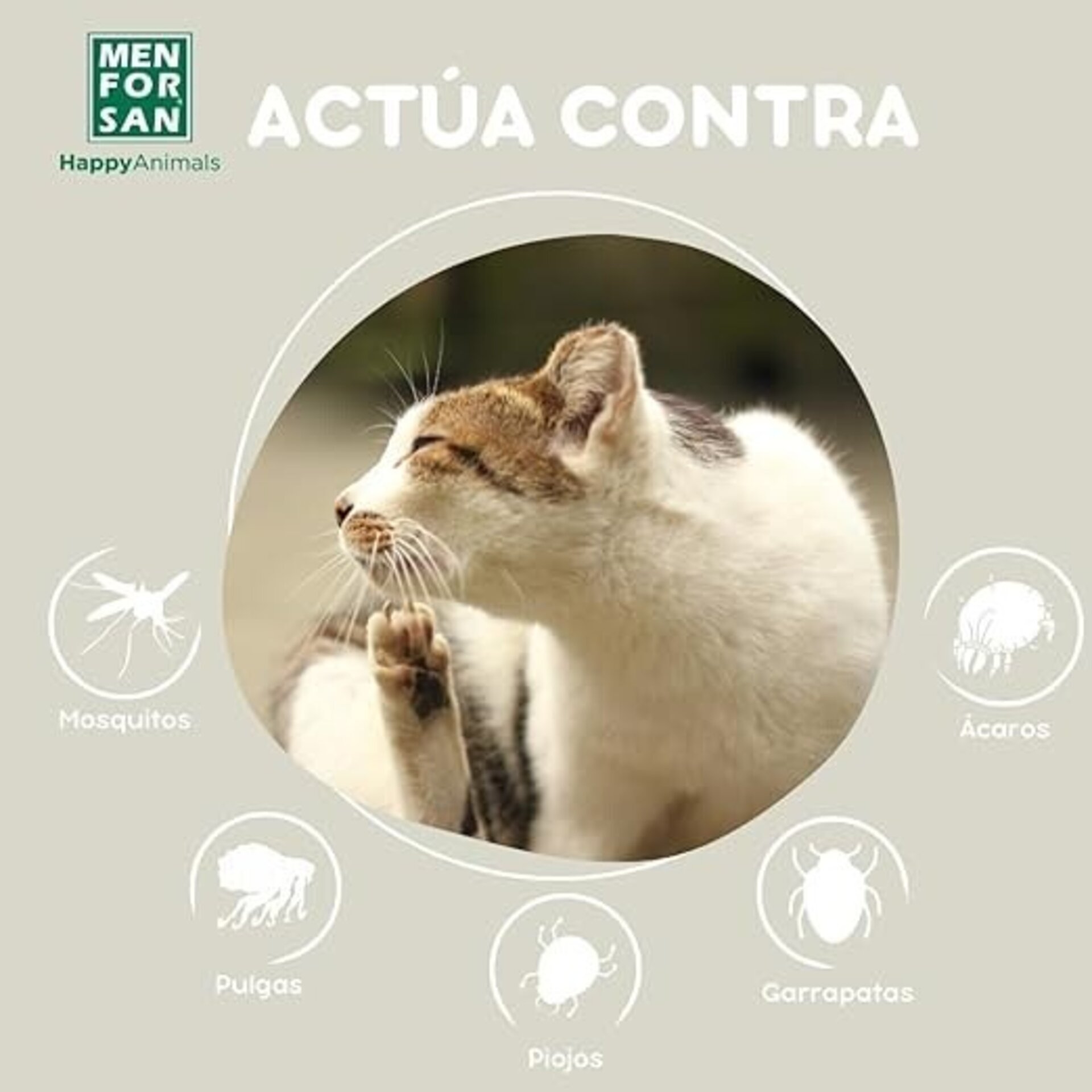 Insecticida Gatos Men For San - 3