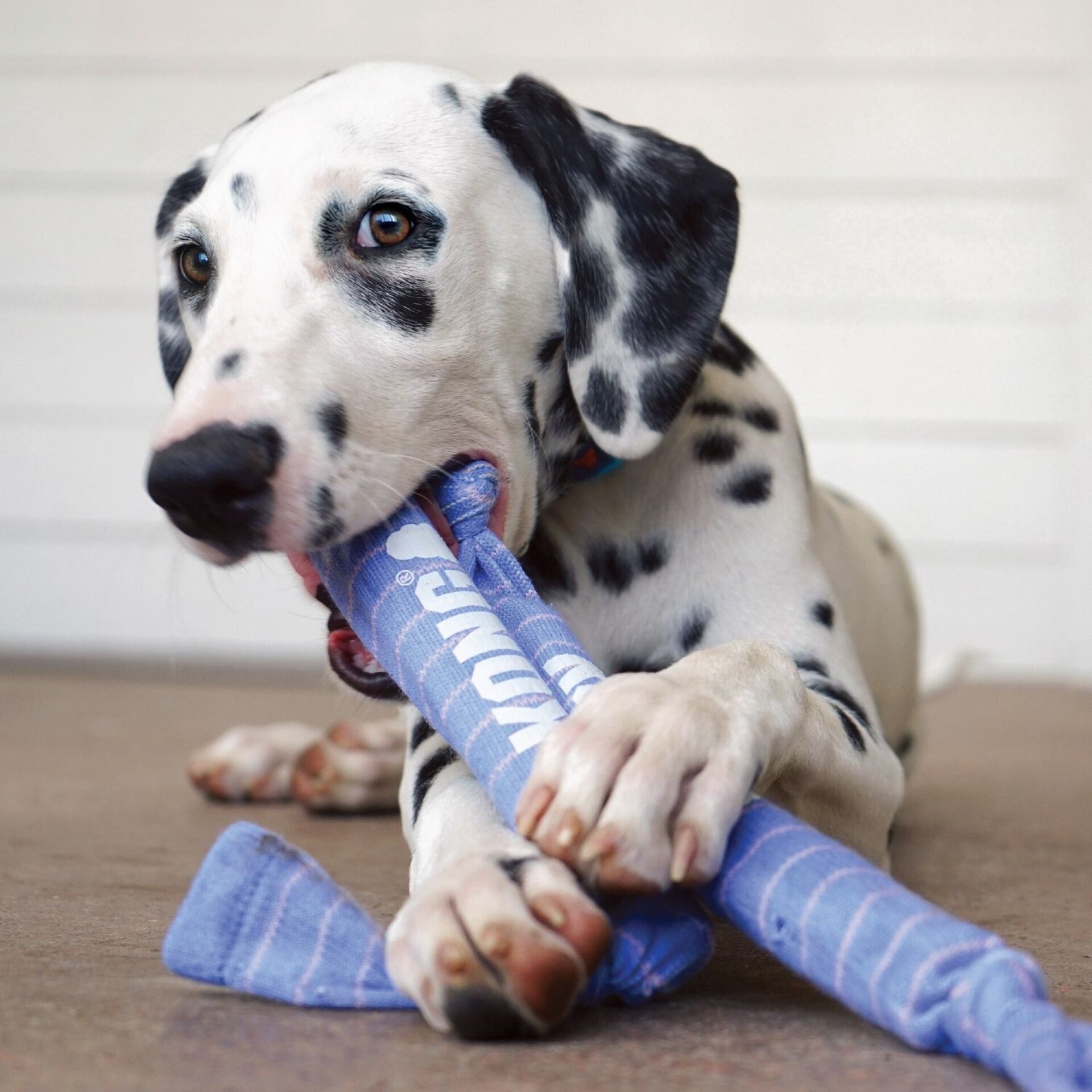 Kong Signature Crunch Rope Single Puppy - 5