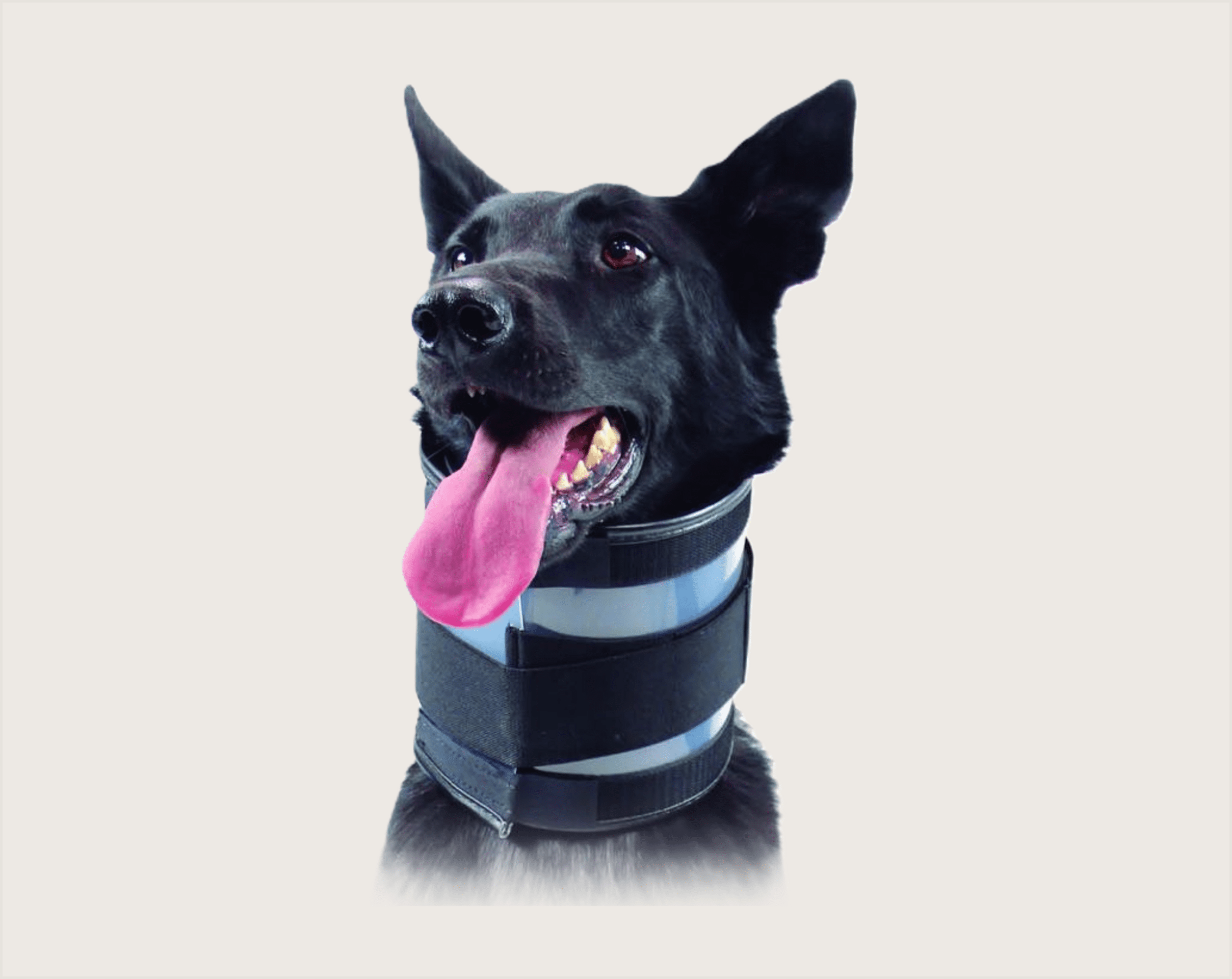 KVP Bite Free Collar Cervical para Mascotas - 1