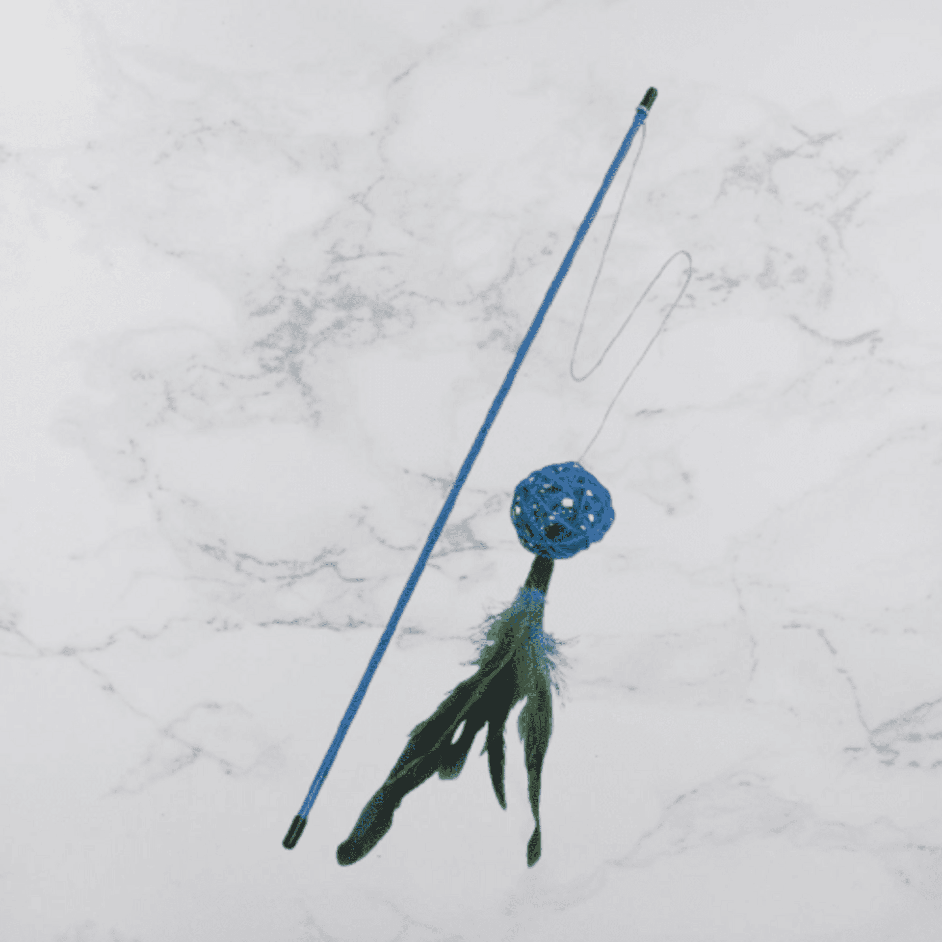 Caña Crux - 1