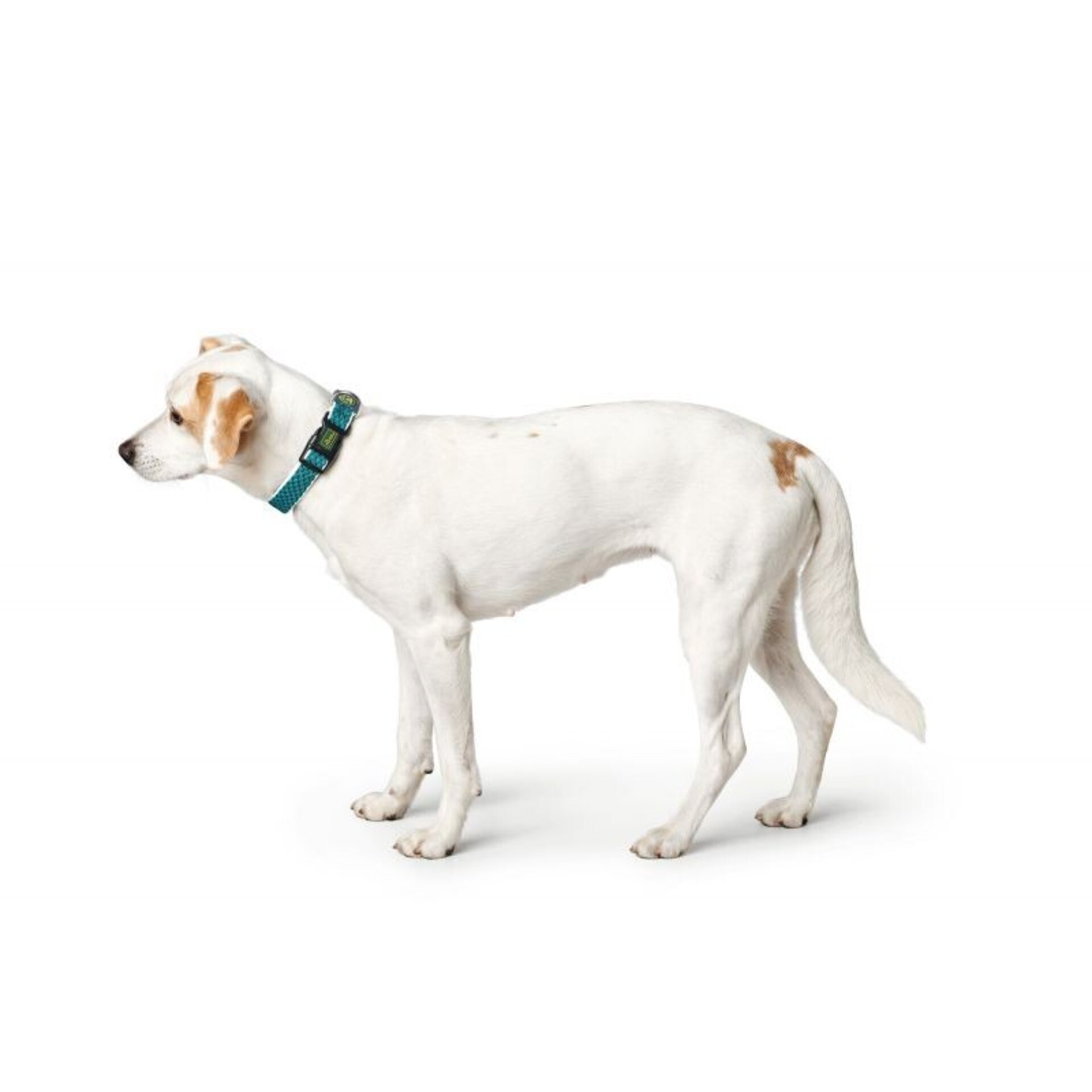 Collares Hilo Vario Basic Hunter - 4
