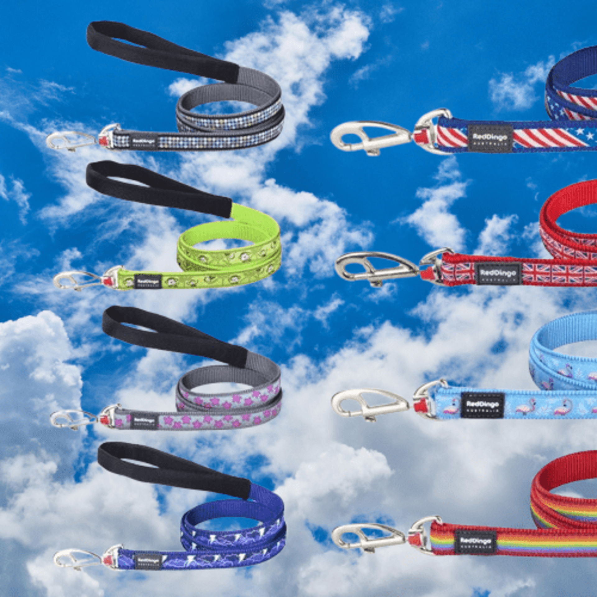 Correas Style RedDingo - 1