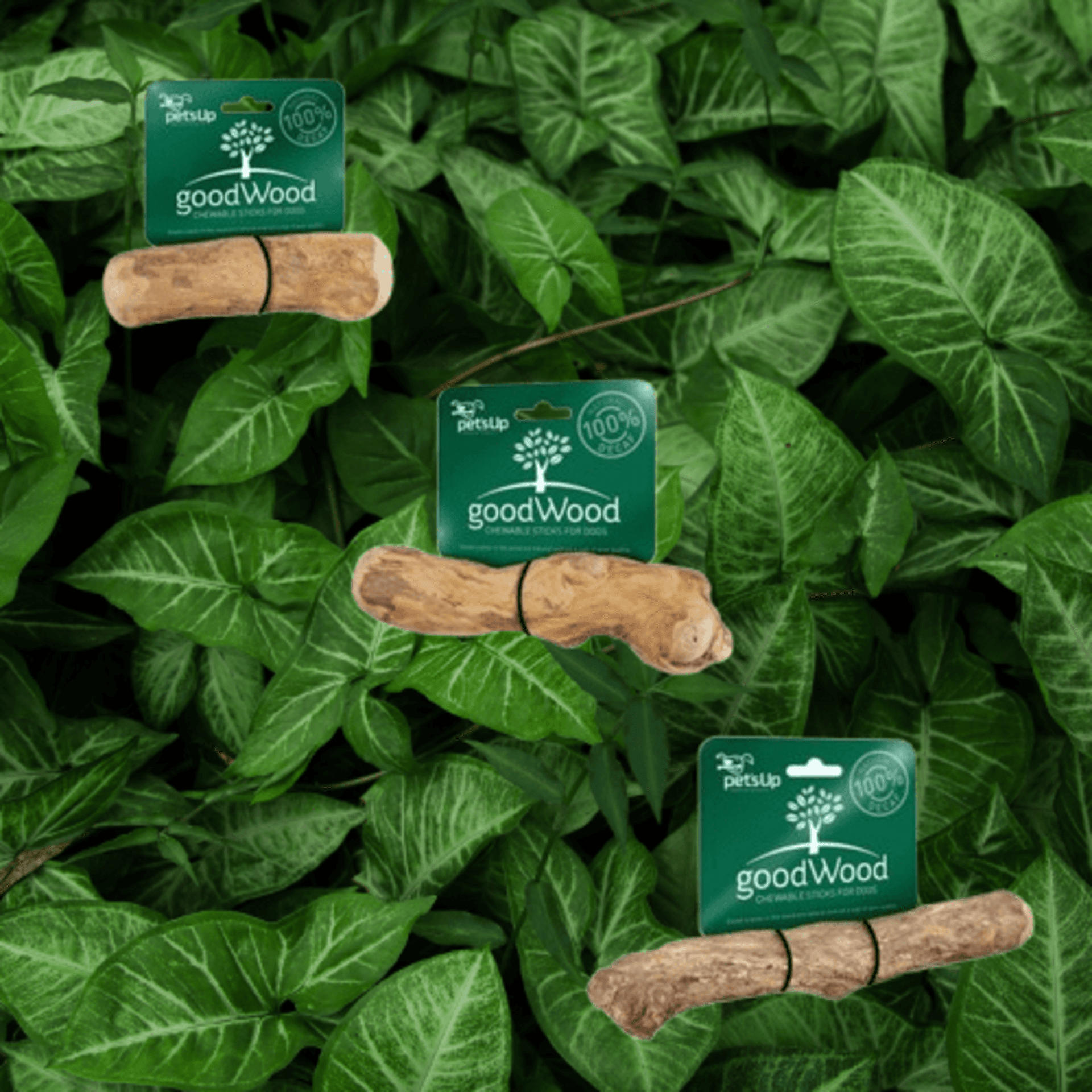 GoodWood Dog Chew - 1