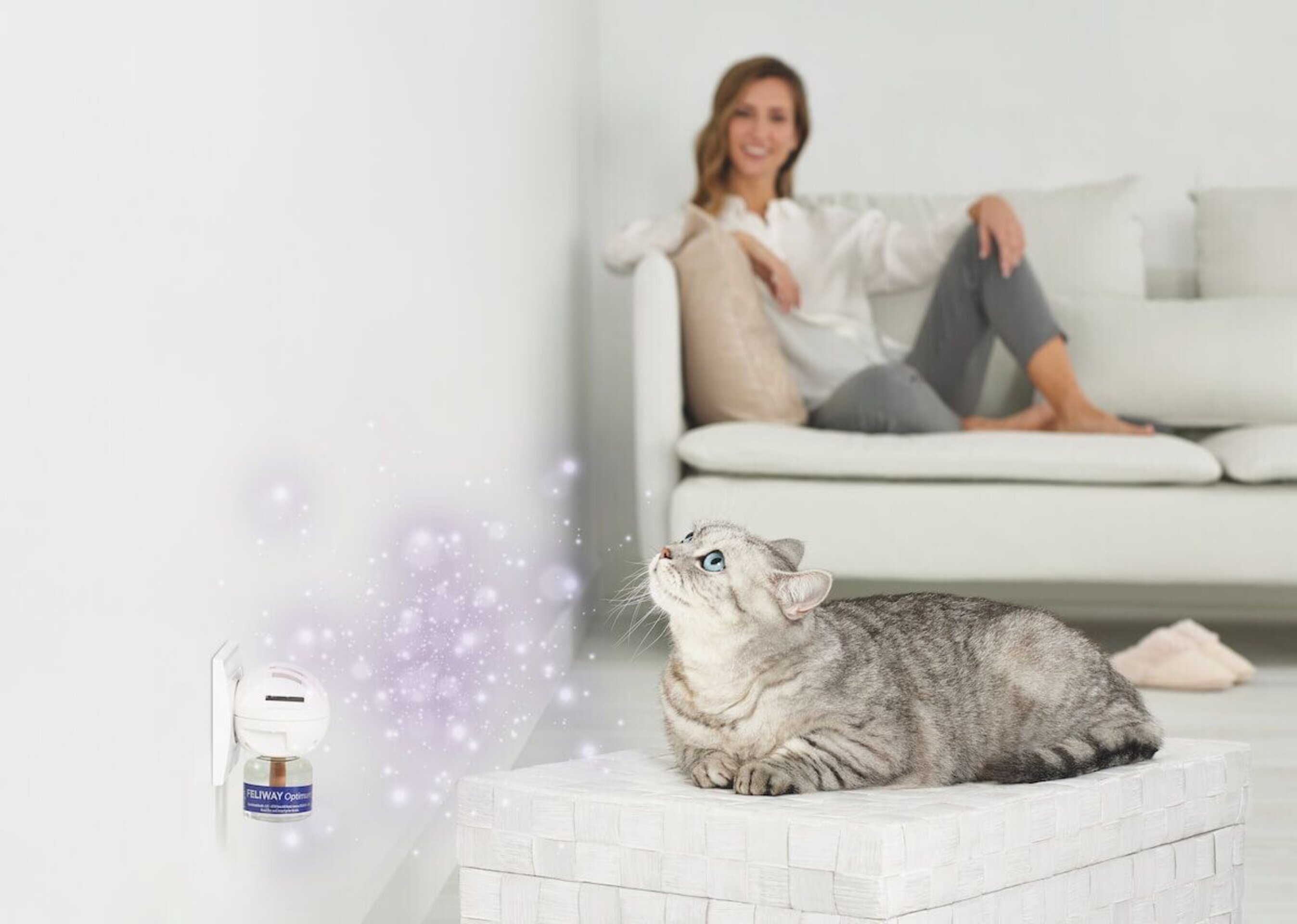 Feliway Optimum Recambio 48ml 1 Mes - 8