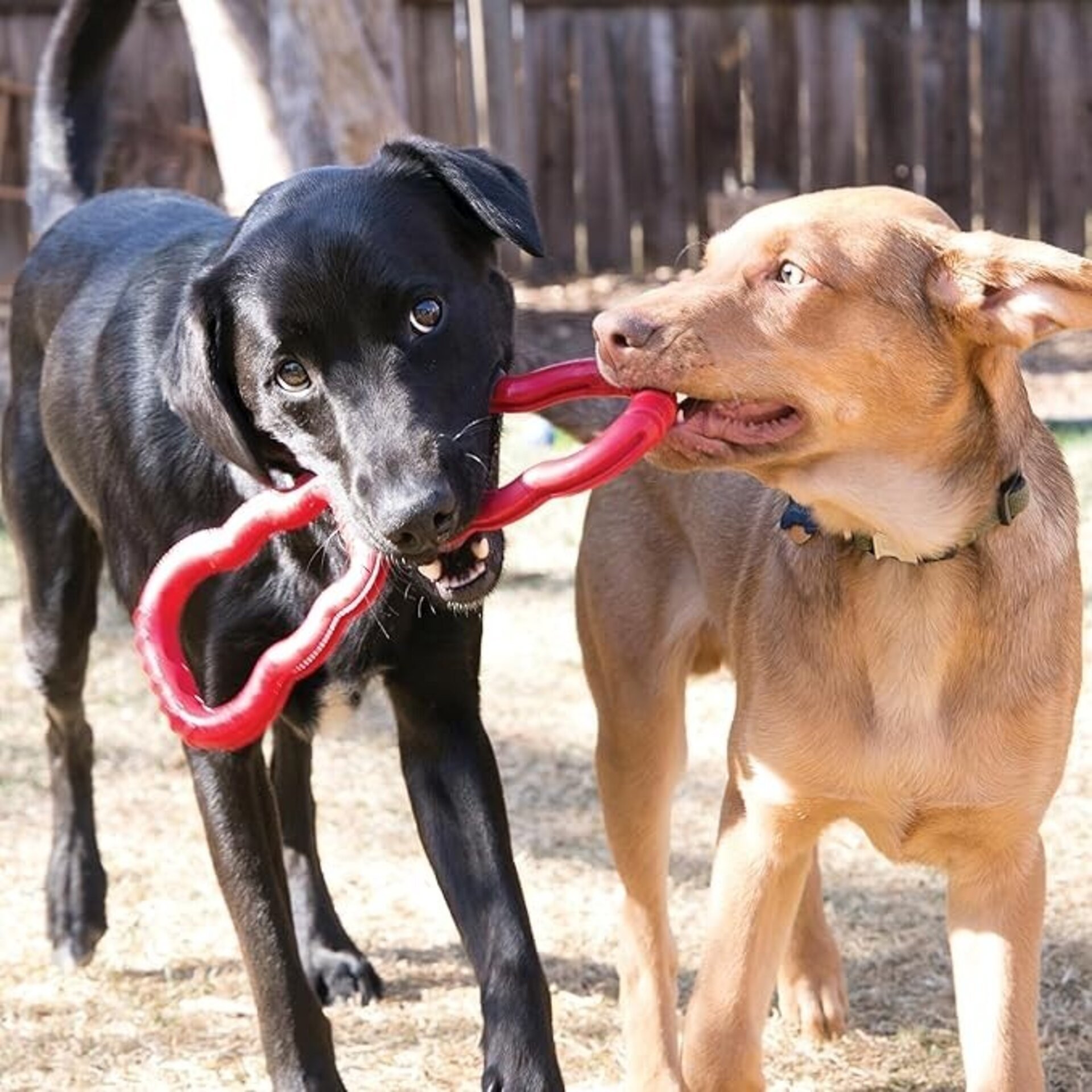 Kong Tug Toy - 1