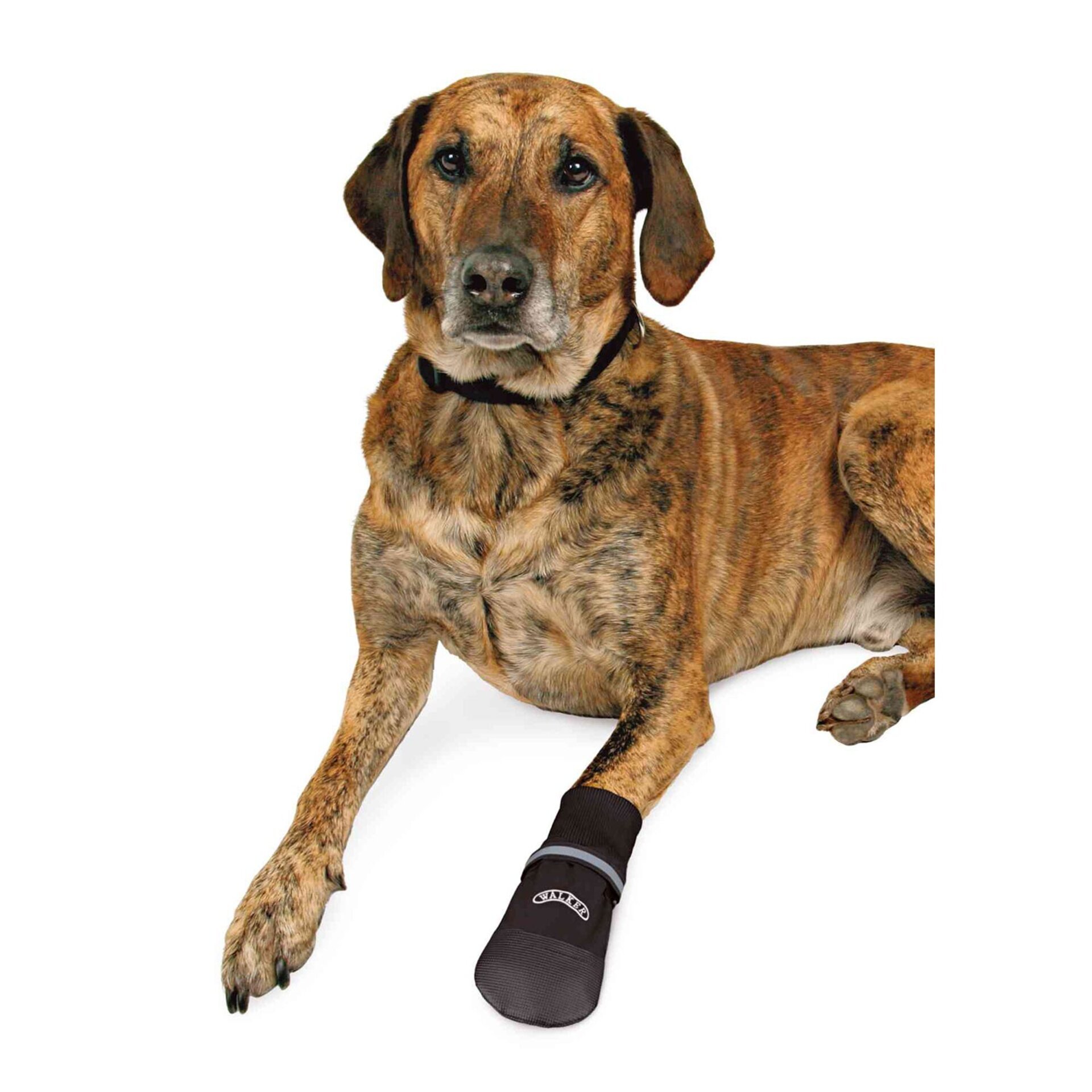 Trixie Botas Protectoras Walker Care Confort - 3