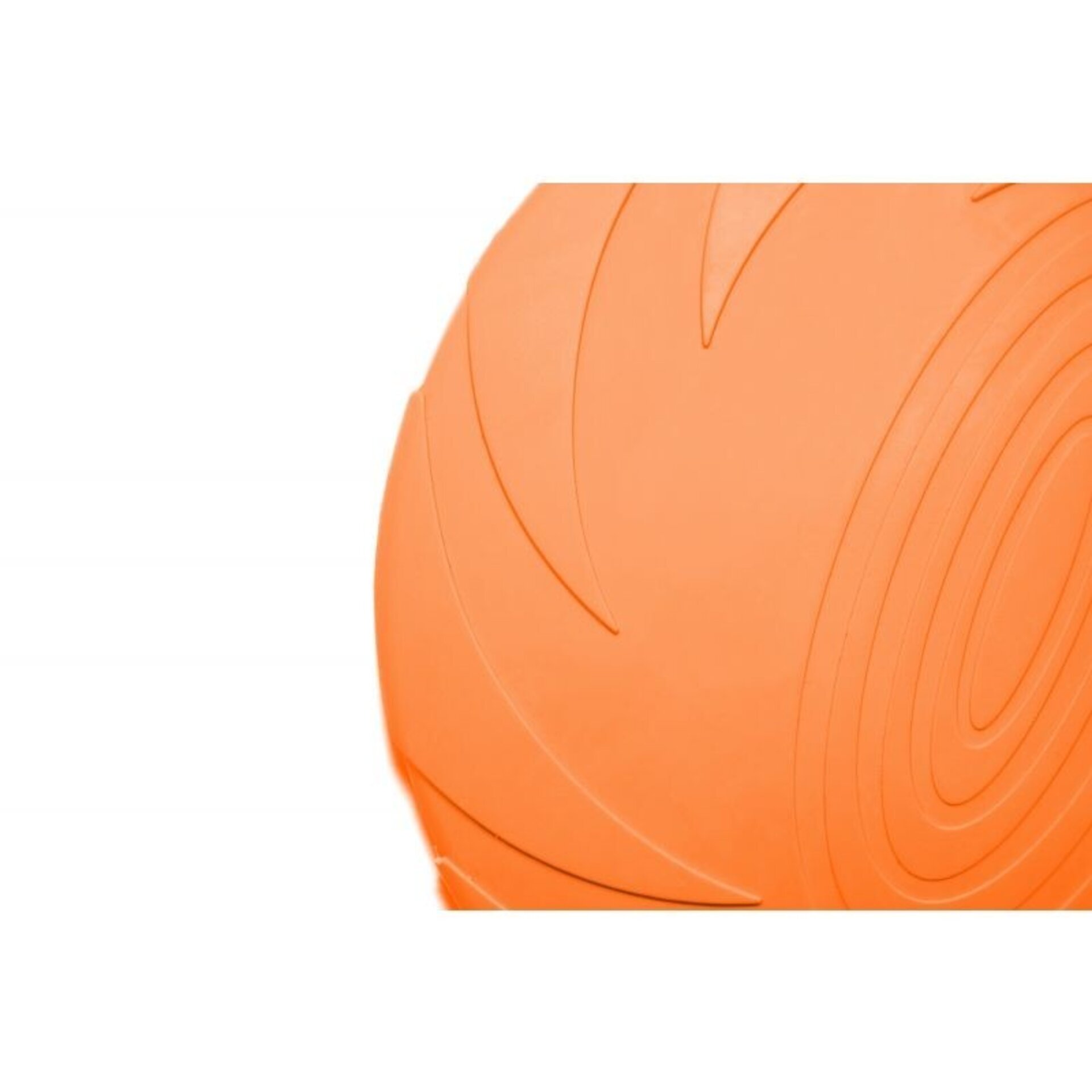 Gloria Frisbee para Perros - 14