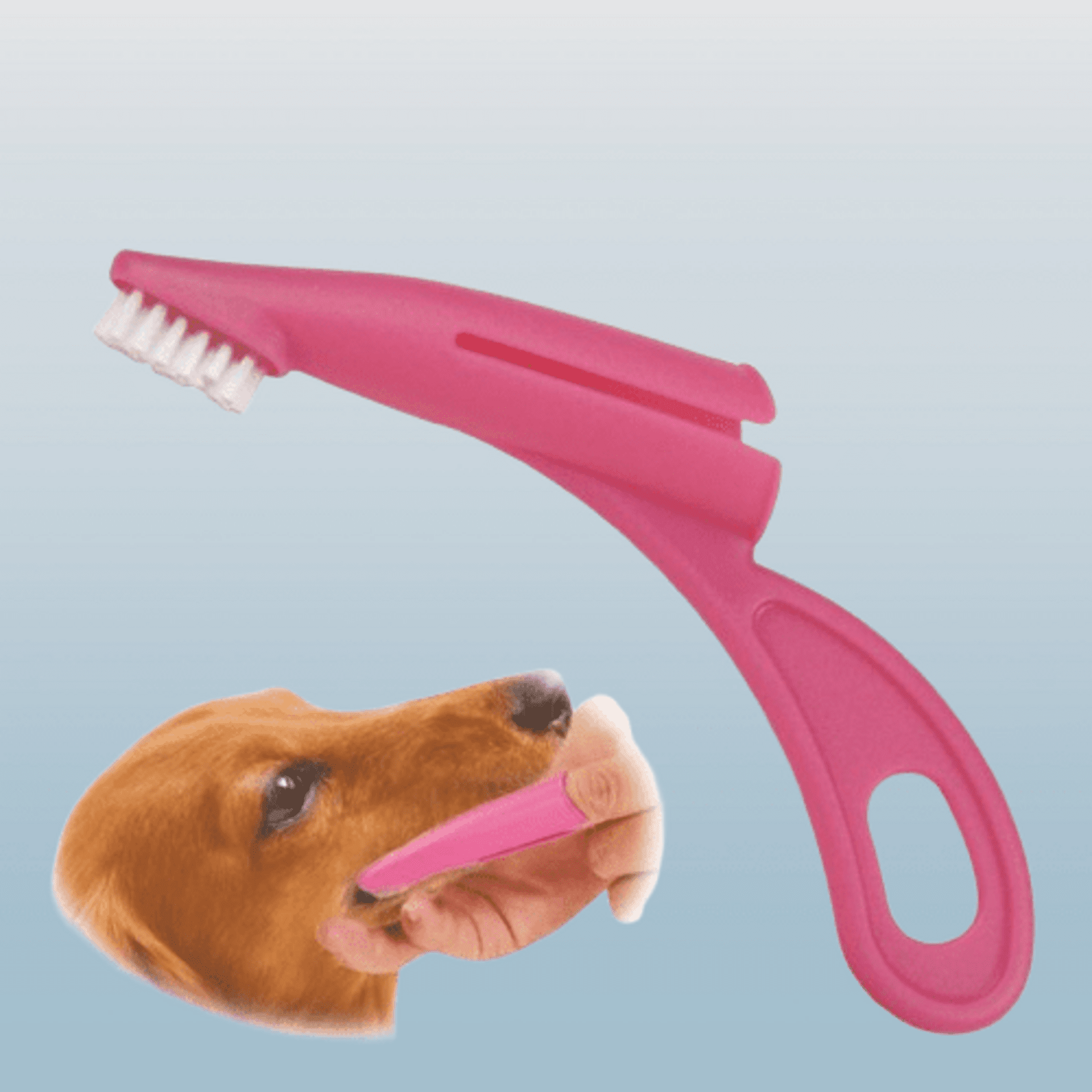 Cepillo De Dientes Para Perro - 1