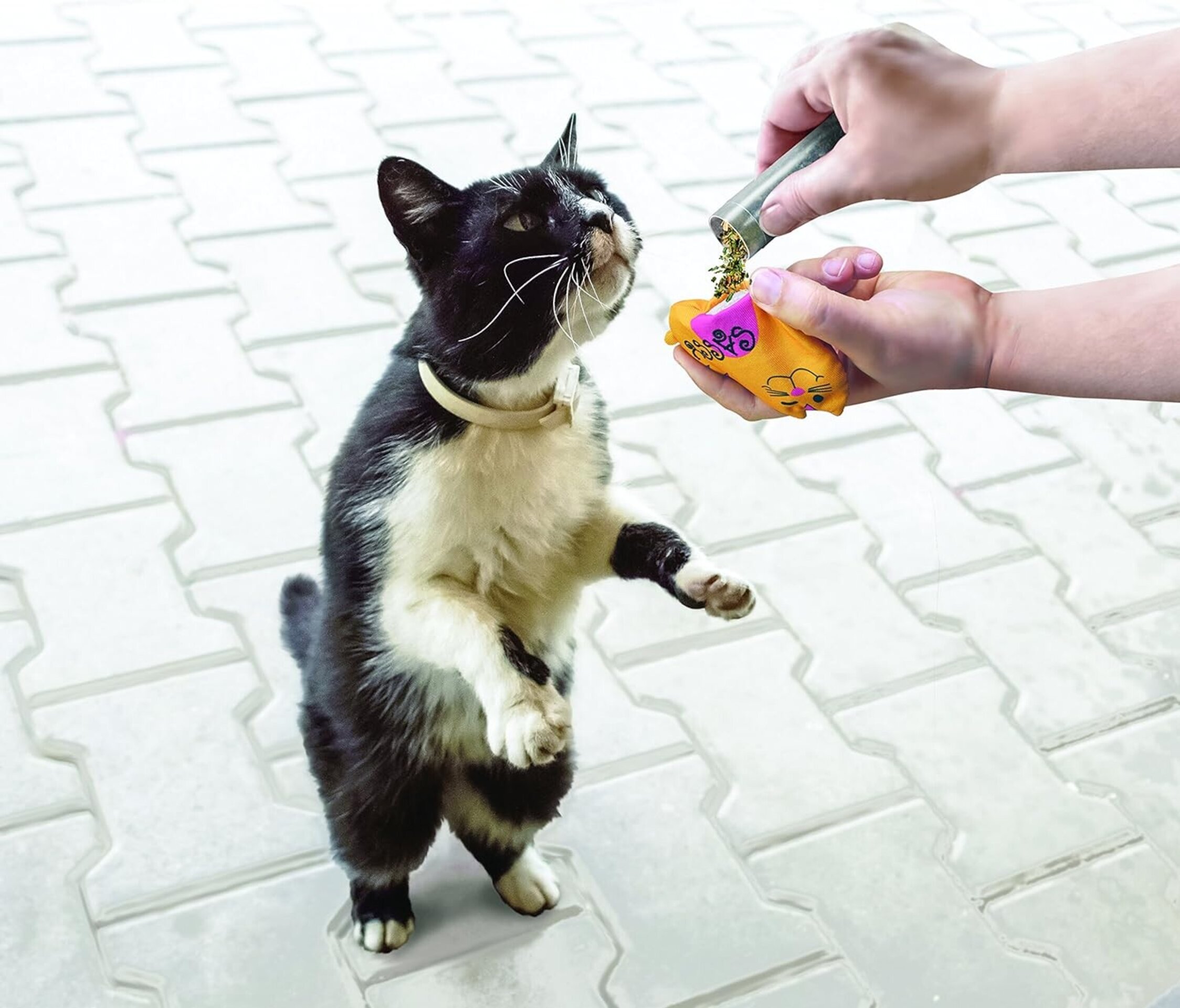 Catnip Premium Kong Para Juguetes - 4
