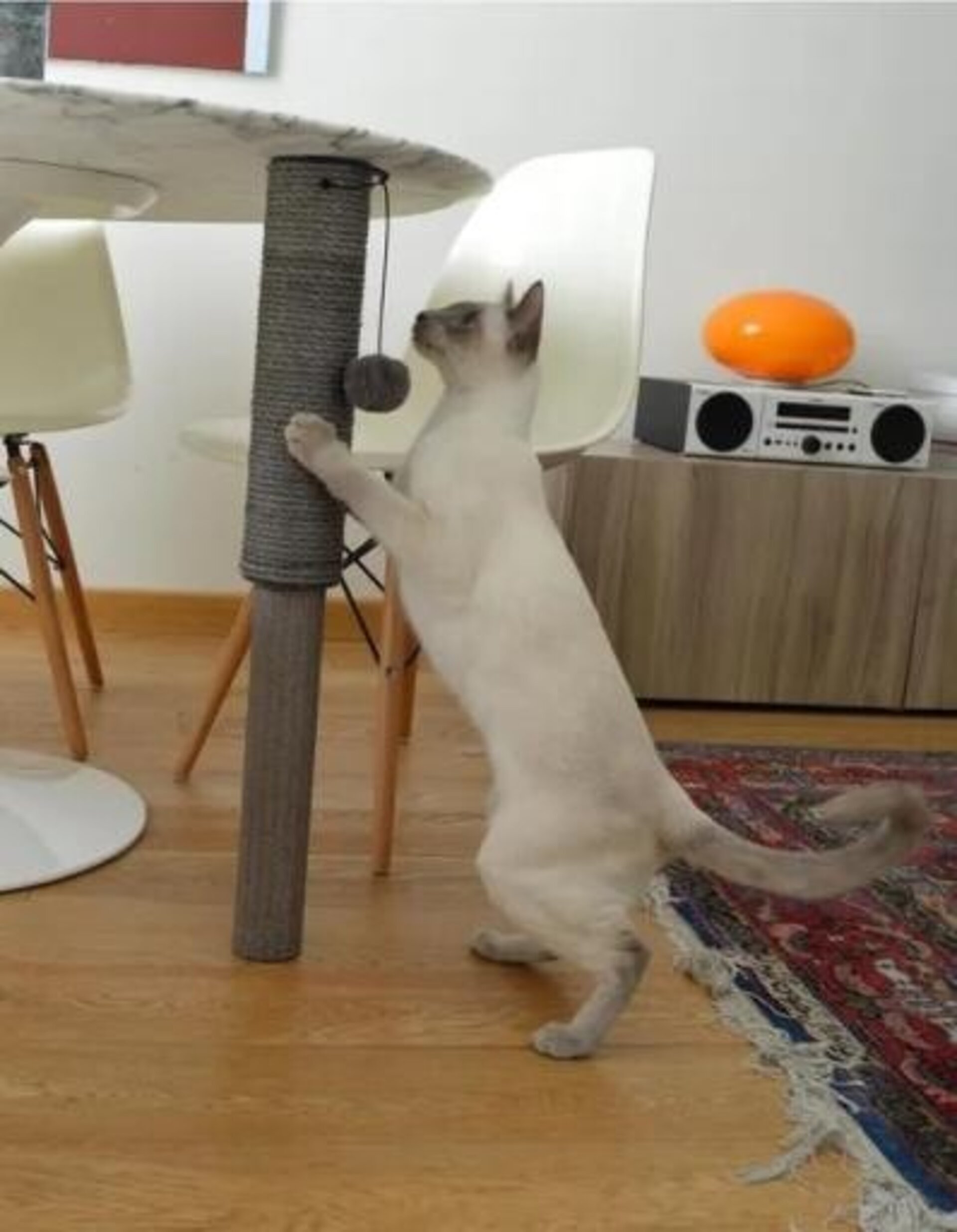 United Pets Rascador Up Cat Pole para Gatos - 2