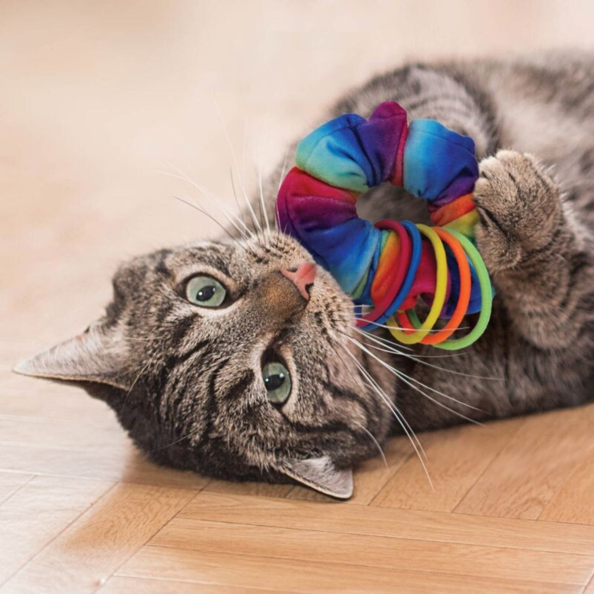 Kong Cat Active Scrunchie - 1
