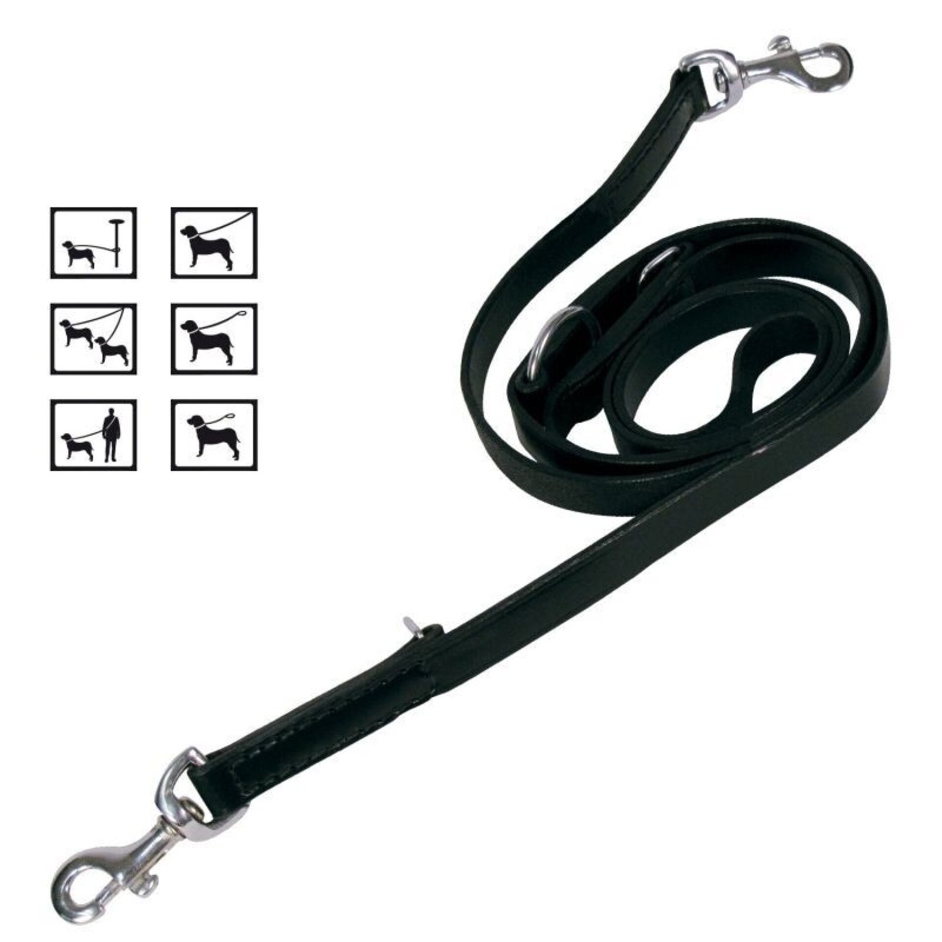 Gloria Correa Mediana de Adiestramiento - 3