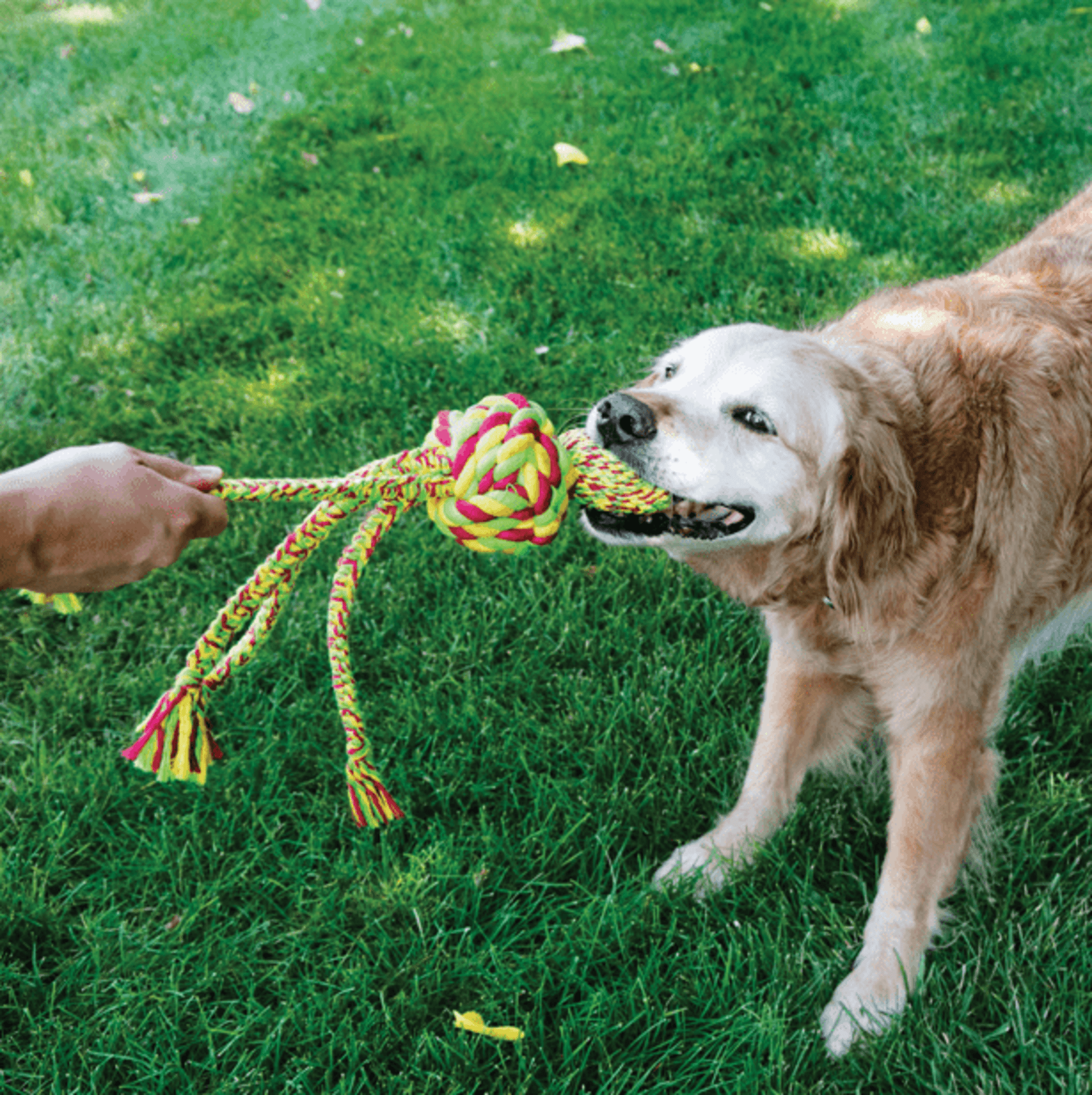 Peluche Kong Wubba Weaves W/Rope - 1
