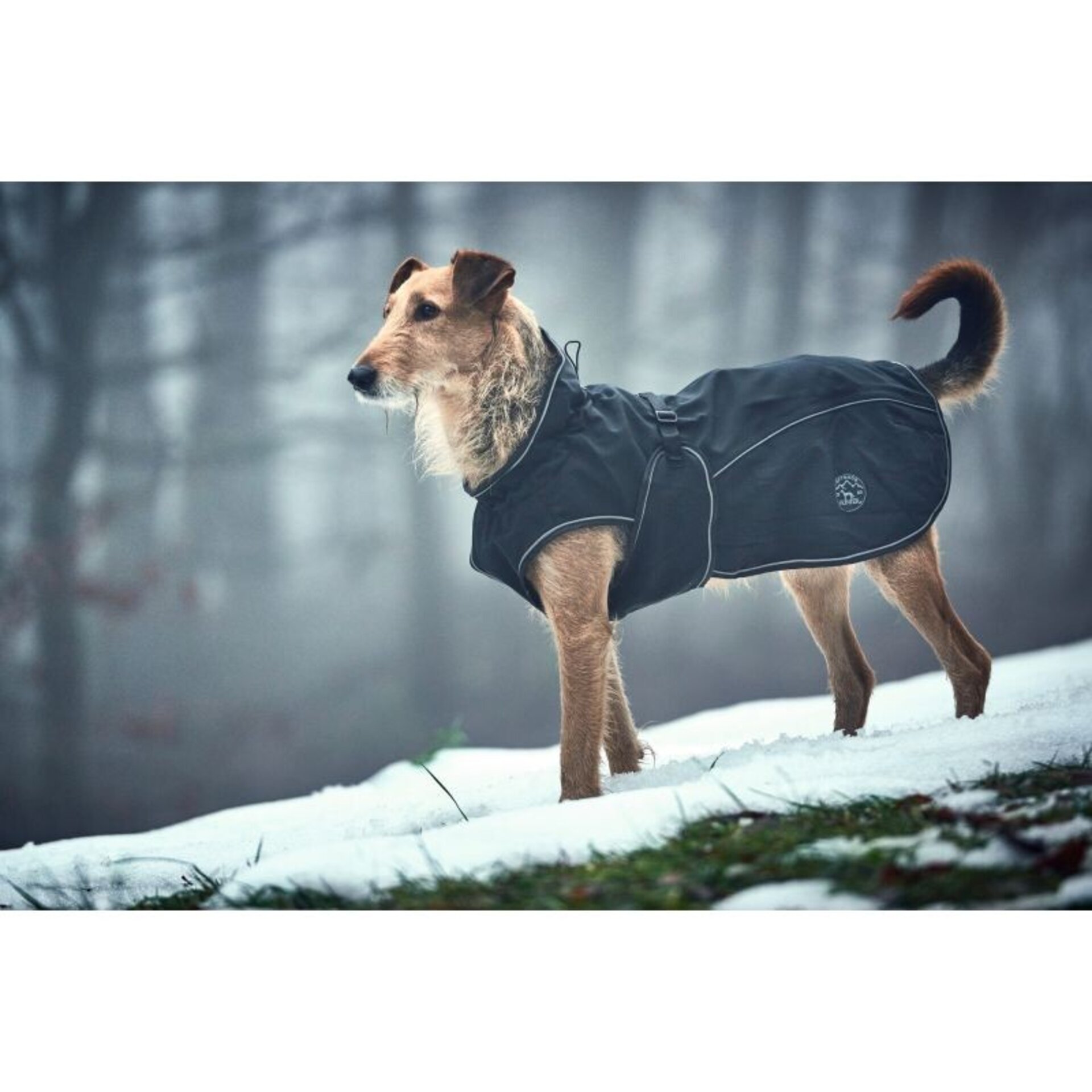 Abrigo Coat Uppsala Hunter - 2
