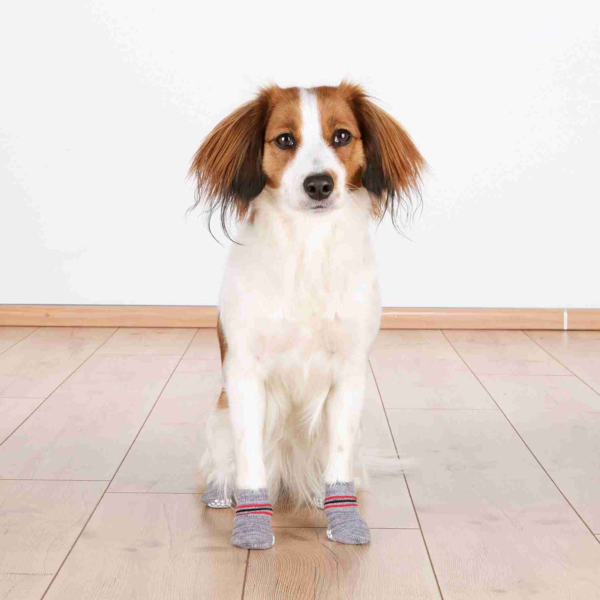 Calcetines Perro Gris/Rayas - 2
