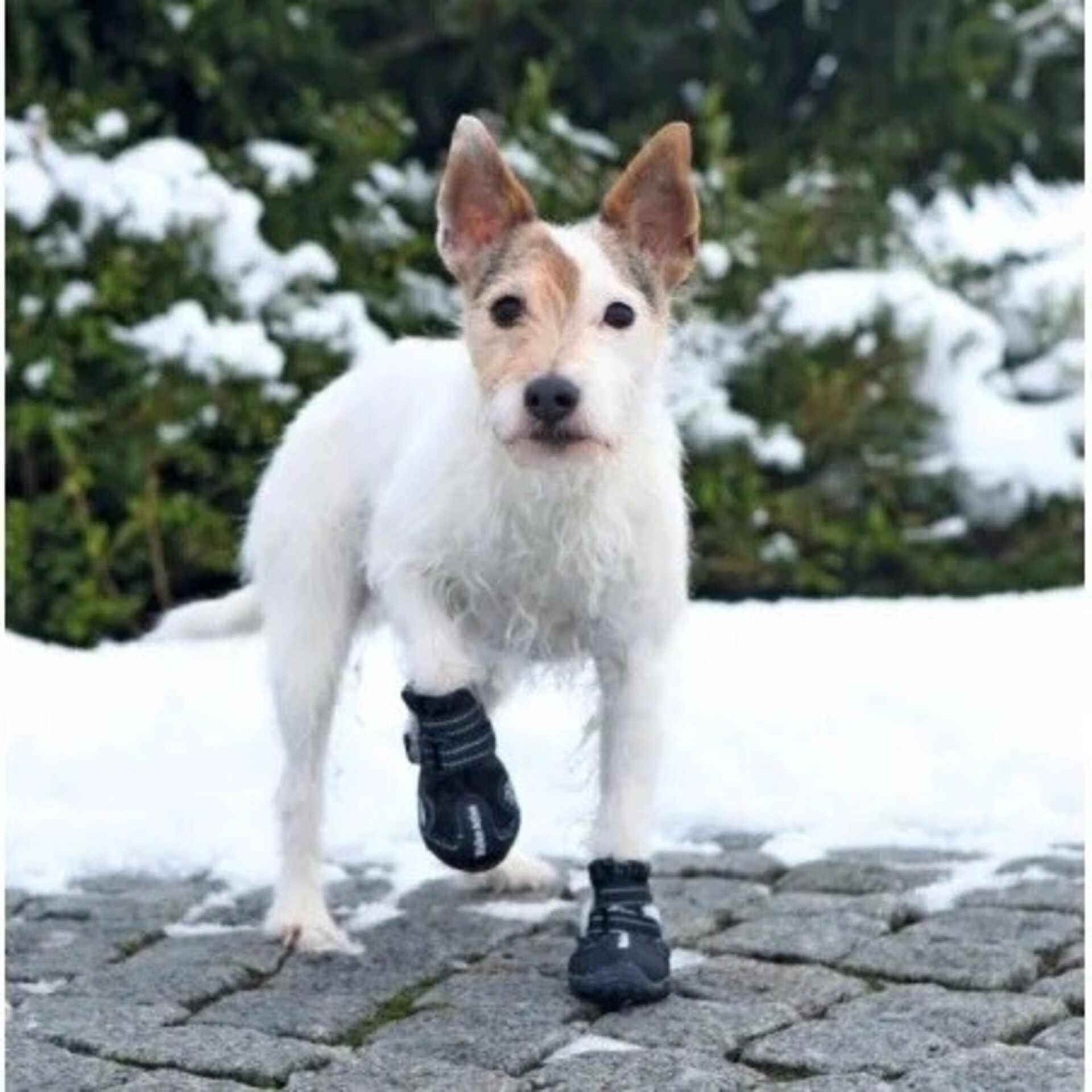 Botas Protectoras Walker Active - 2