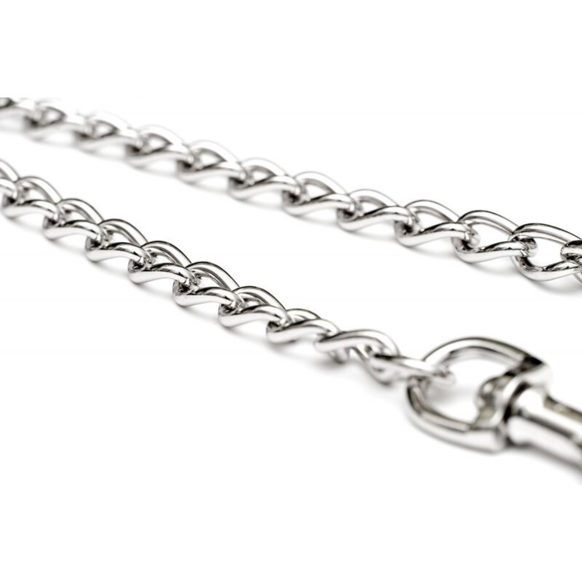 Gloria Acople de Cadena y Nylon para 2 Perros - 5