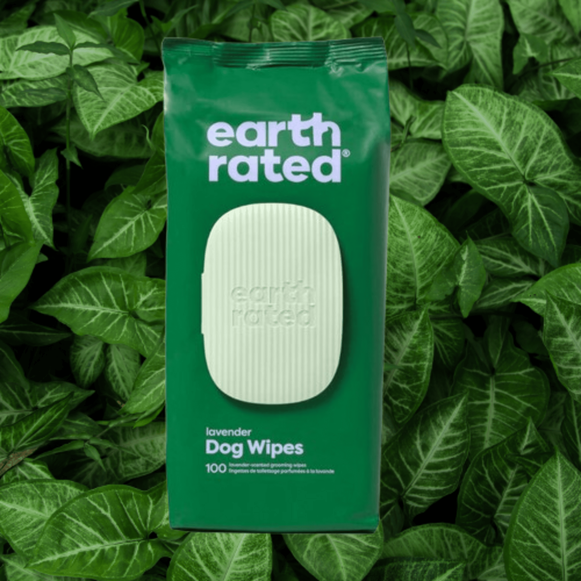 Toallitas húmedas Con Fragancia A Lavanda Earth Rated - 2