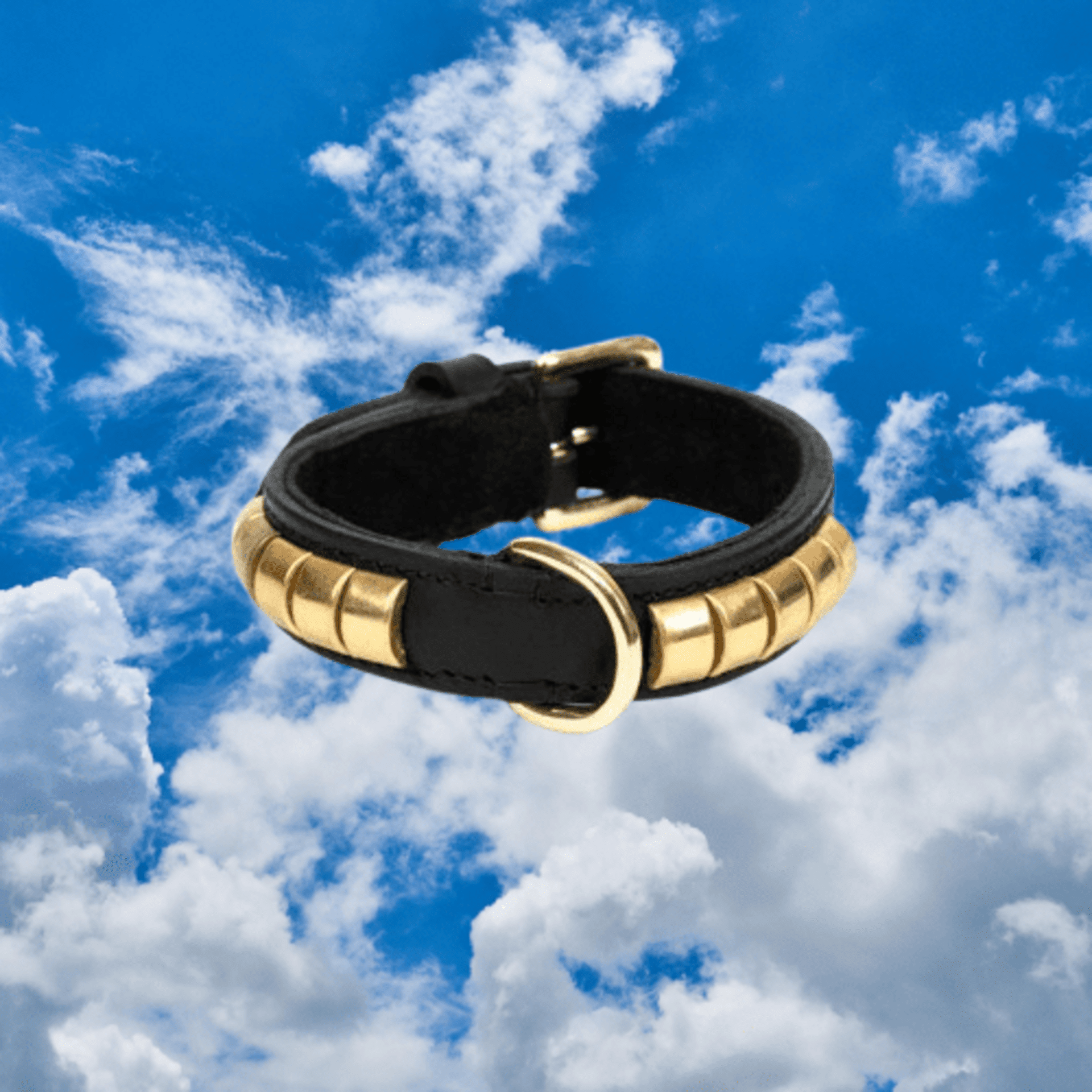 Collar De Piel Duna - 1