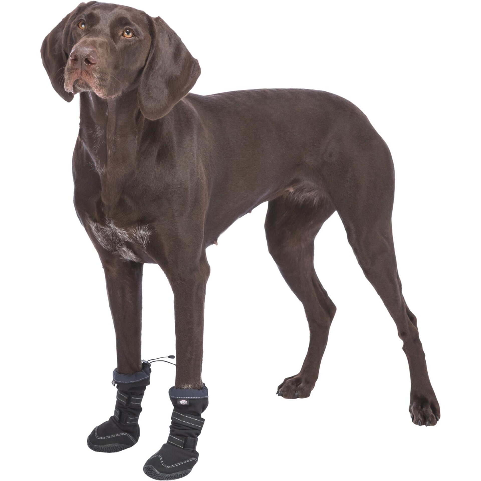 Andador De Protección De Patas Activo Largo - 10