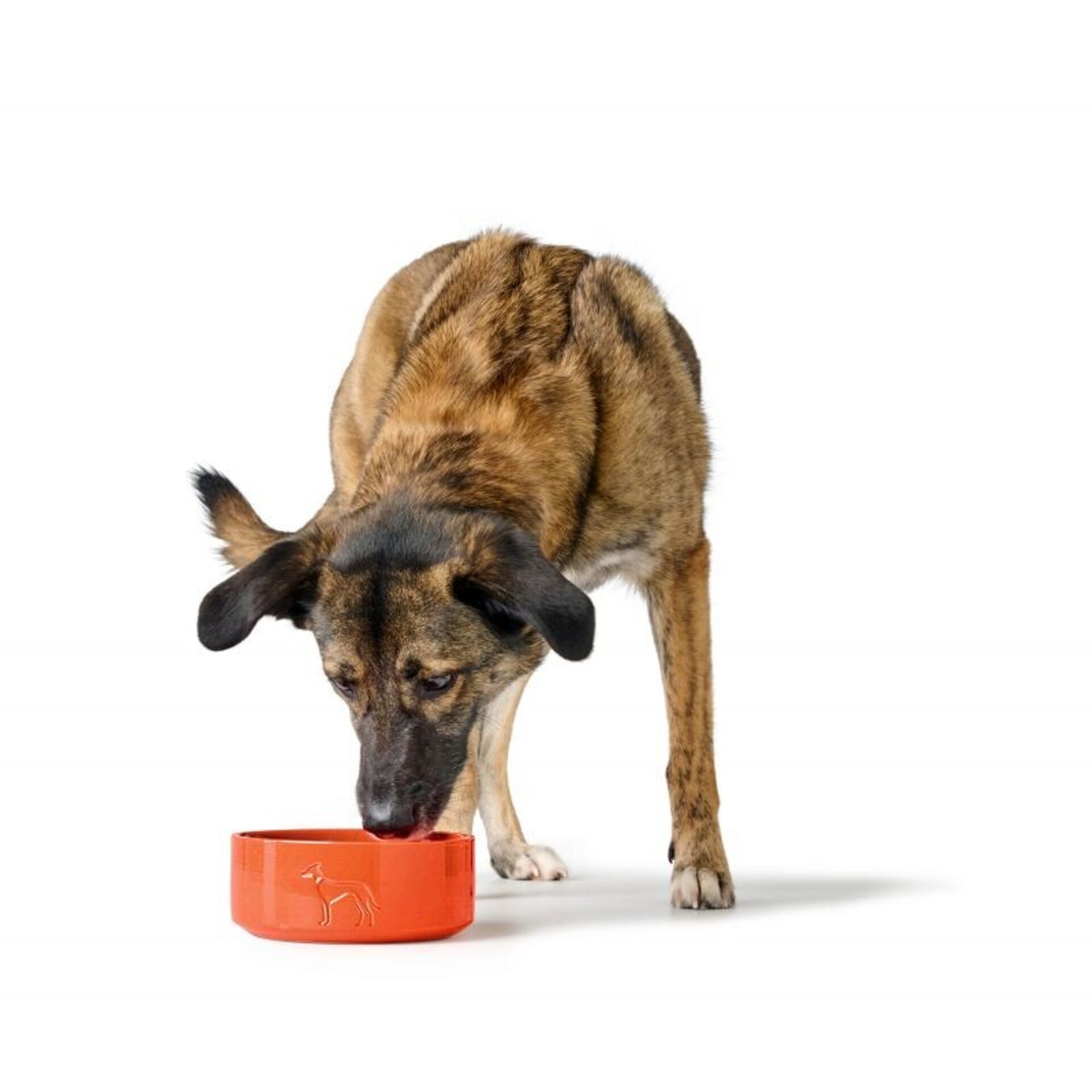 Comederos De Ceramica Osby Glazed Hunter - 6