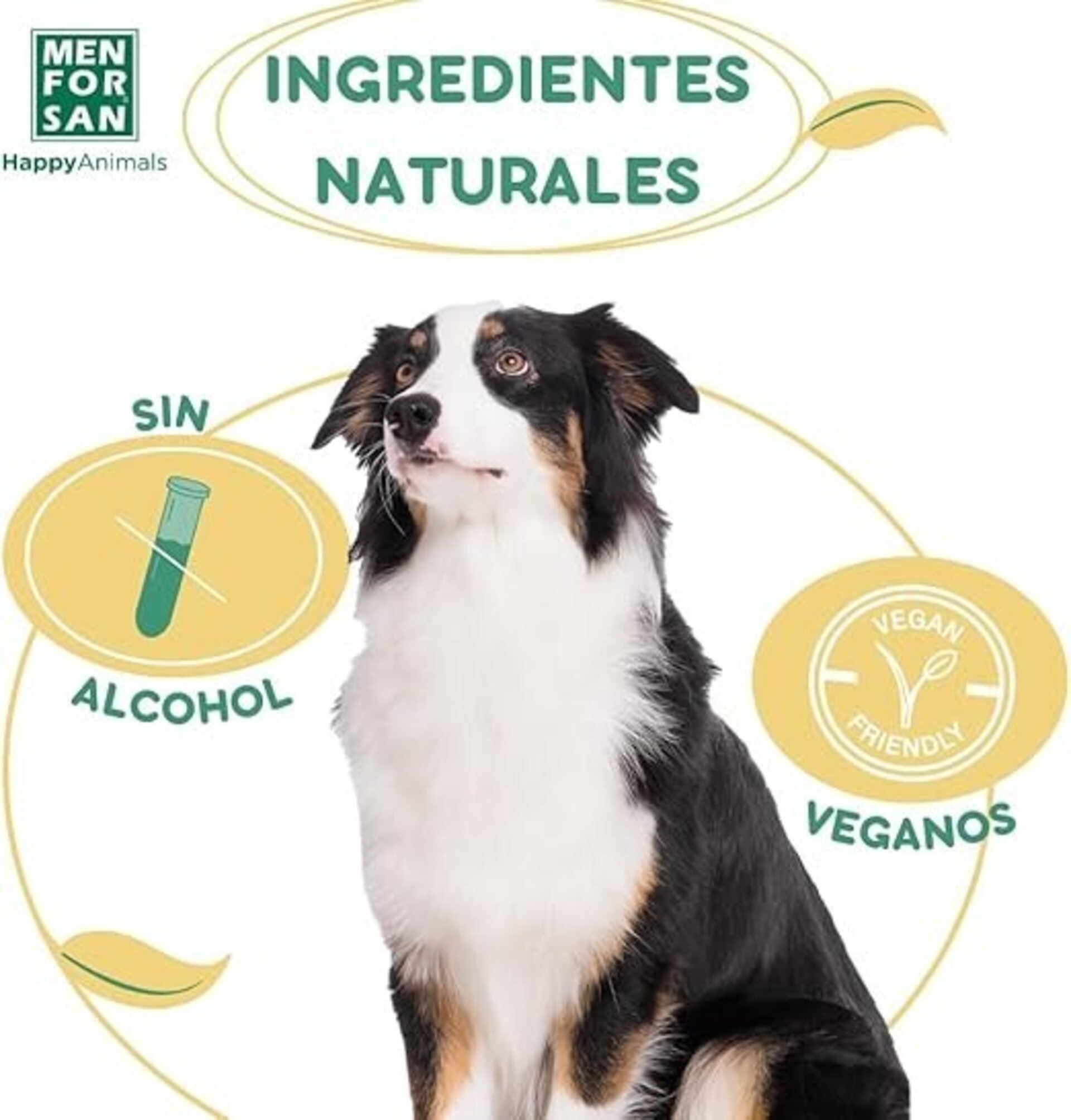 Agua De Colonia Men For San - 9