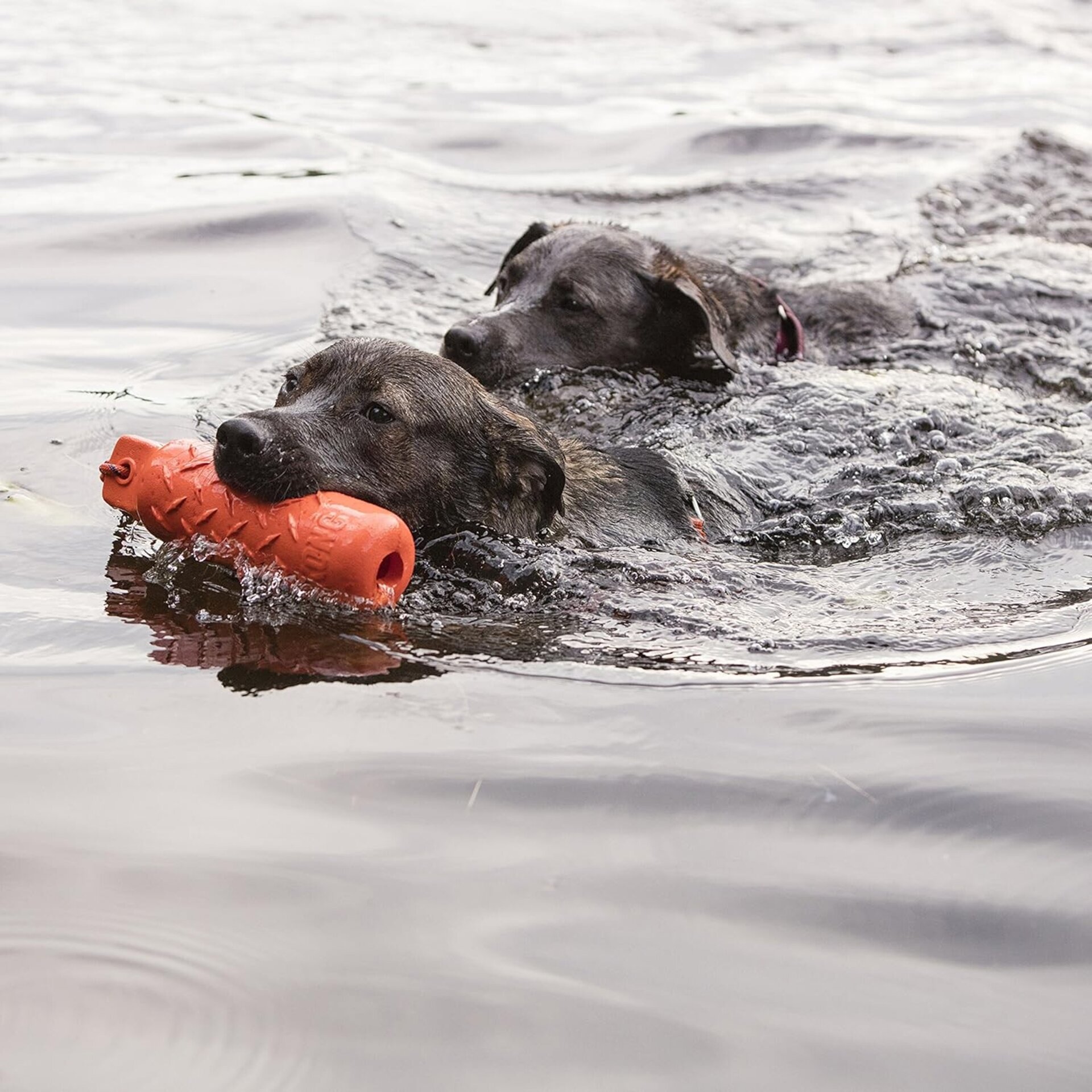 Kong Dummy Entrenamiento - 3