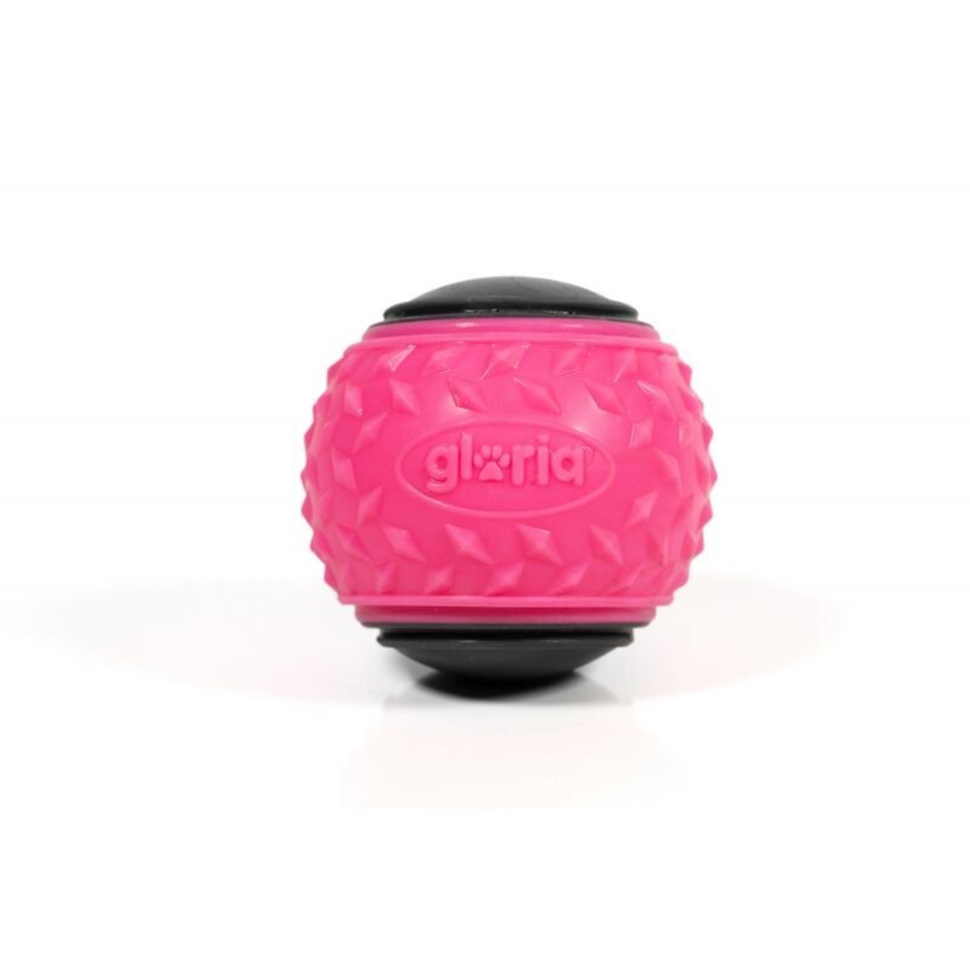 Pelota Play And Run Mega Squeaker - 4