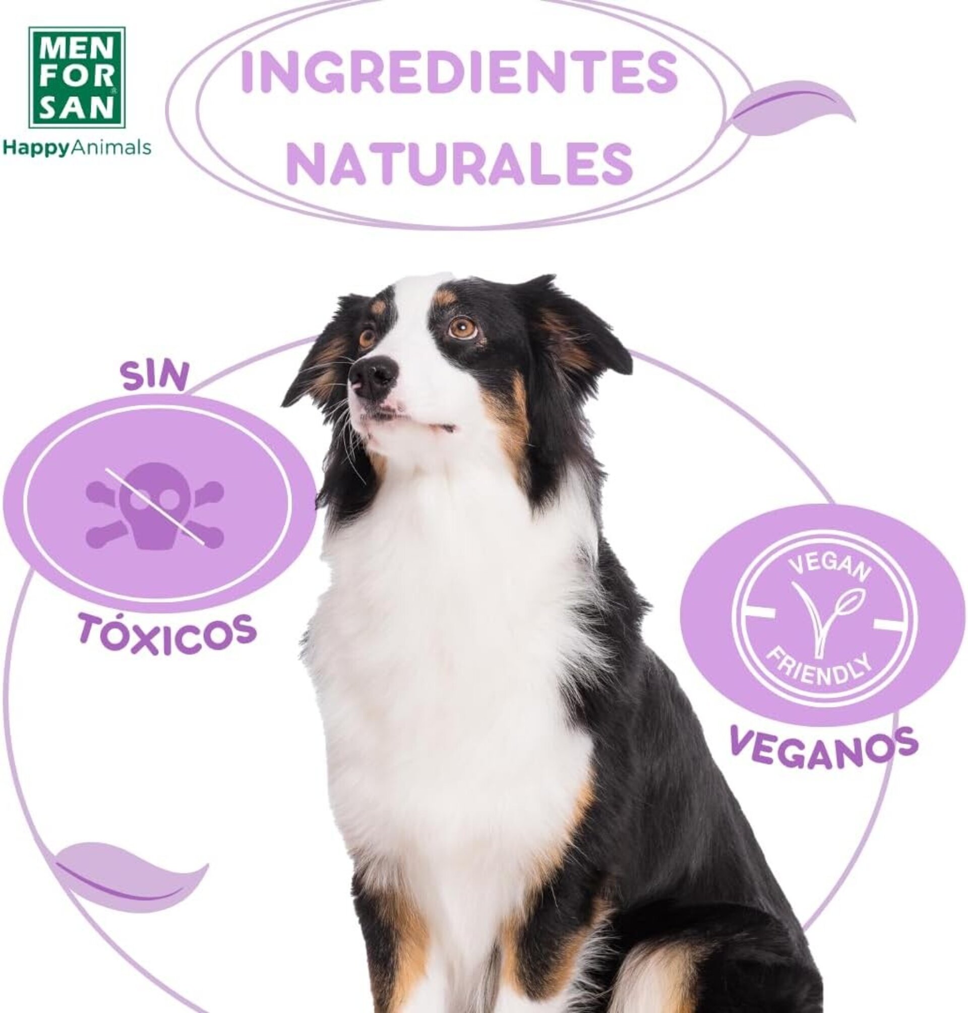 Champú En Espuma Anti Insectos Para Perros Men For San - 3