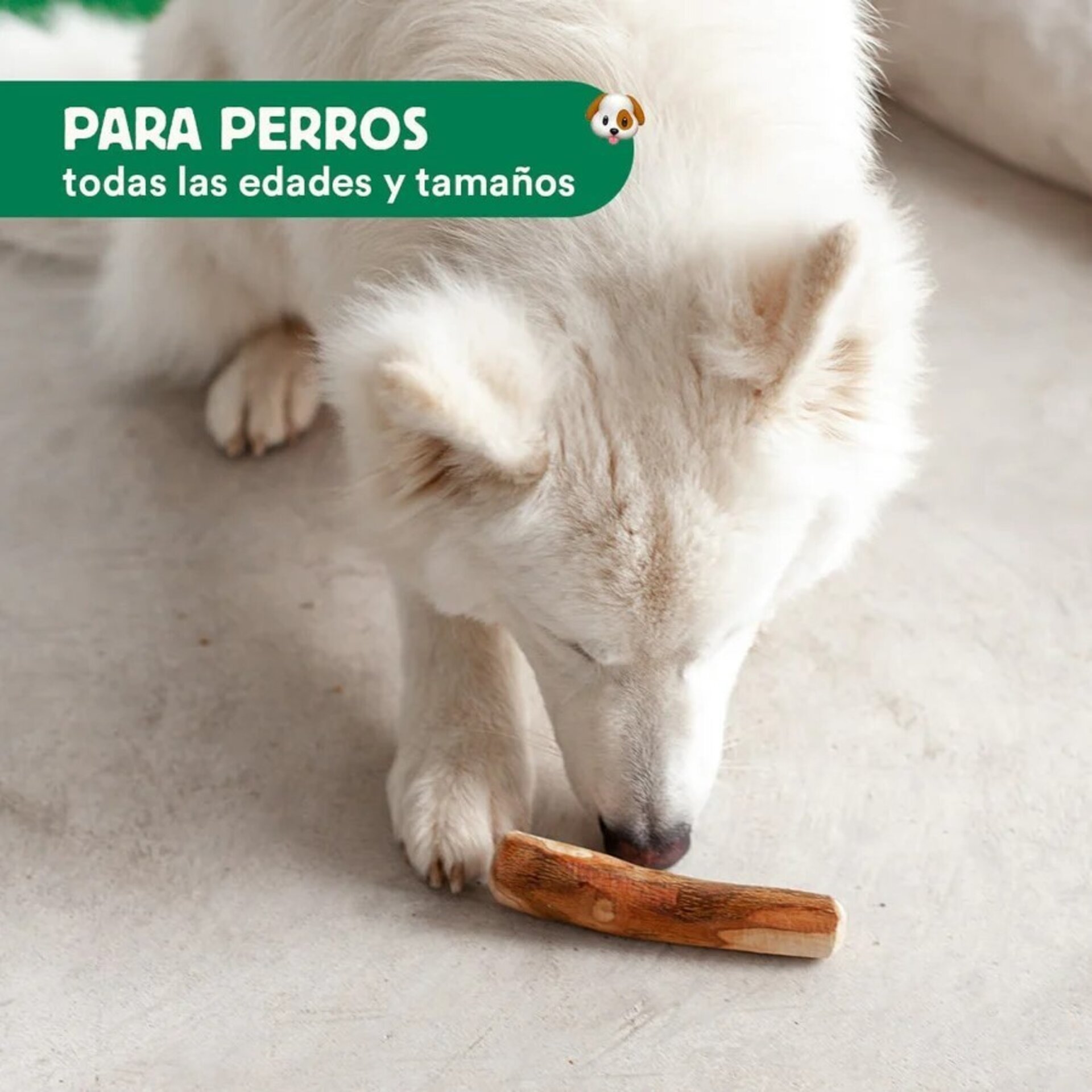 Wild Balance Mordedor Palo Madera de Olivo - 3