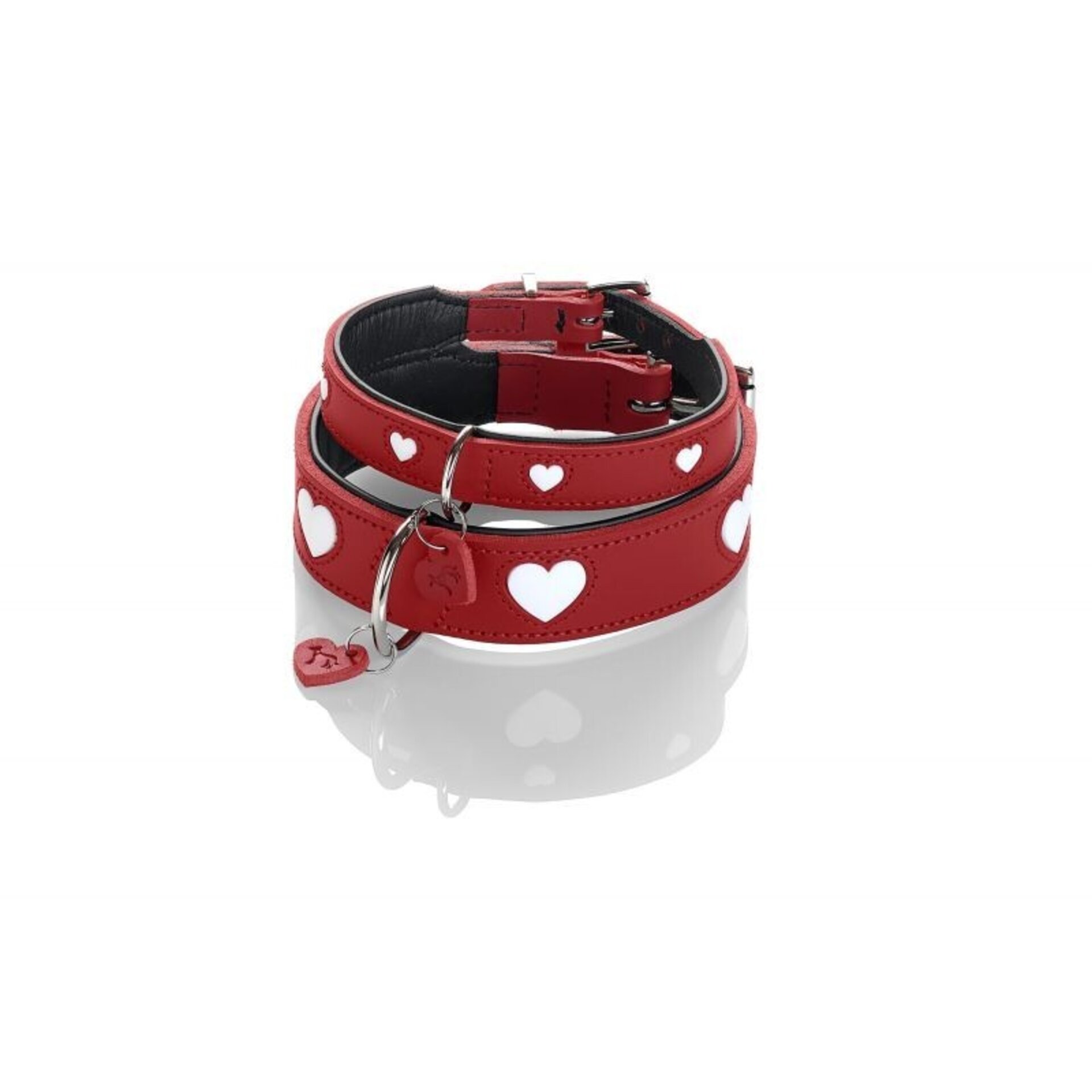 Collar Love Hunter - 6