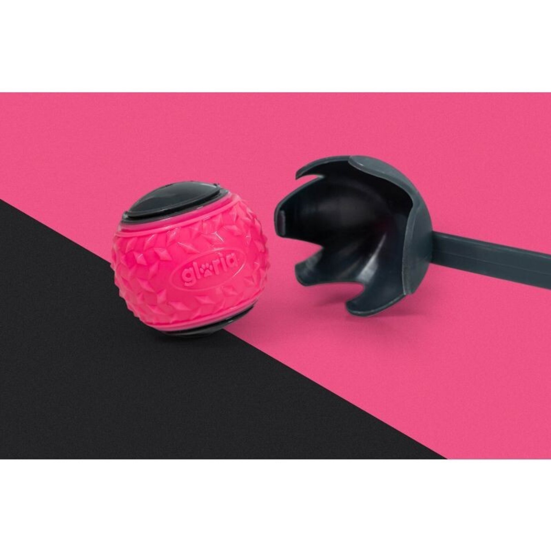 Lanzador De Pelotas Play And Run Sport - 2