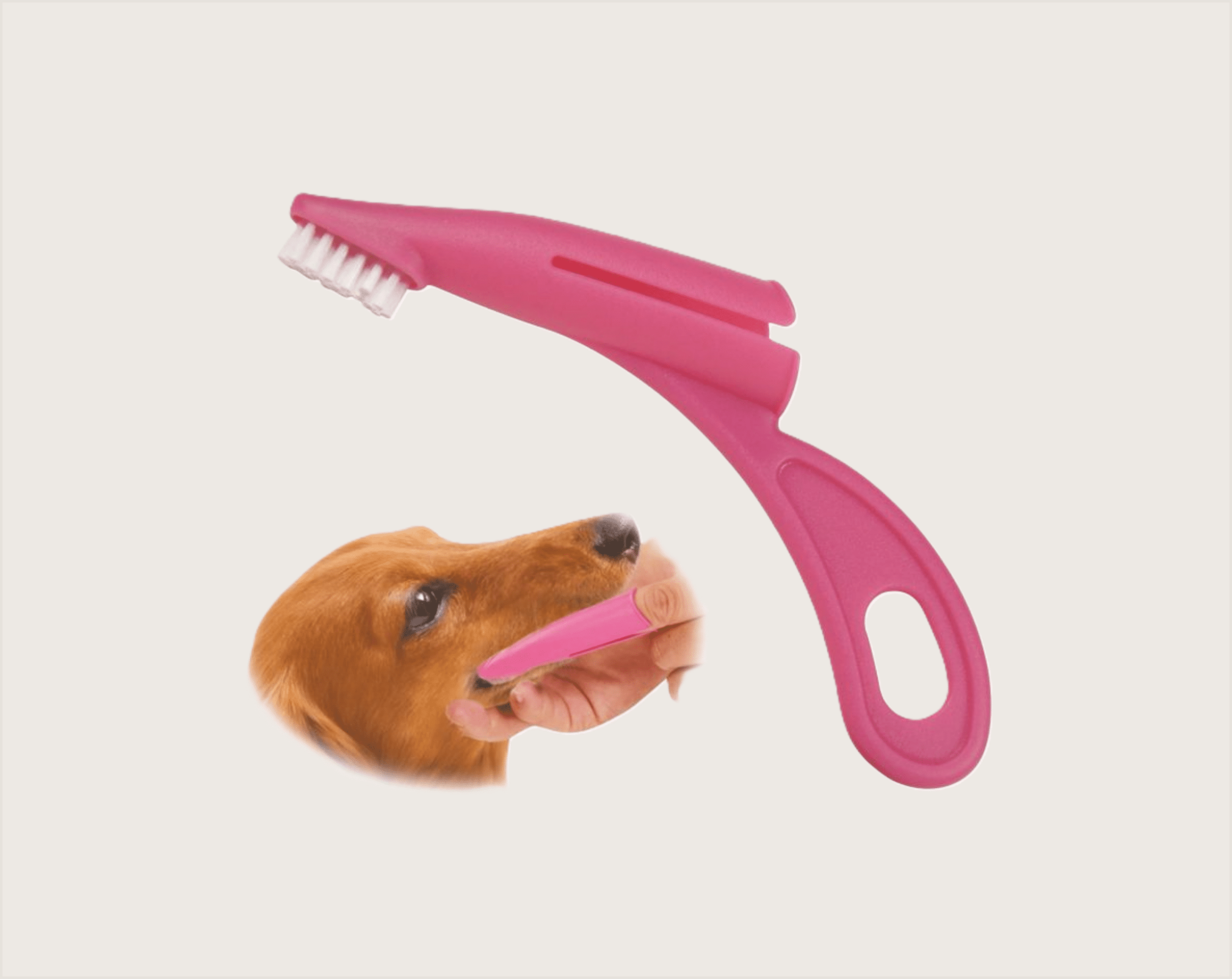 Gloria Cepillo Dental Curvo - 1